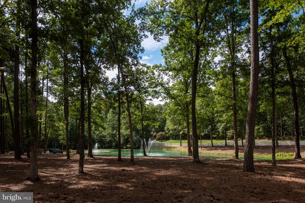 11204 HONOR BRIDGE FARM PLACE PL, SPOTSYLVANIA, Virginia 22551, 5 Bedrooms Bedrooms, ,3 BathroomsBathrooms,Residential,11204 HONOR BRIDGE FARM PLACE PL,VASP2039750 MLS # VASP2039750