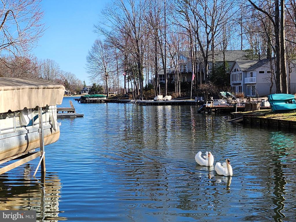 112 CONFEDERATE CIR, LOCUST GROVE, Virginia 22508, 5 Bedrooms Bedrooms, ,4 BathroomsBathrooms,Residential,112 CONFEDERATE CIR,VAOR2013686 MLS # VAOR2013686 112 CONFEDERATE CIR, LOCUST GROVE, Virginia 22508, 5 Bedrooms Bedrooms, ,4 BathroomsBathrooms,Residential,112 CONFEDERATE CIR,VAOR2013686 MLS # VAOR2013686