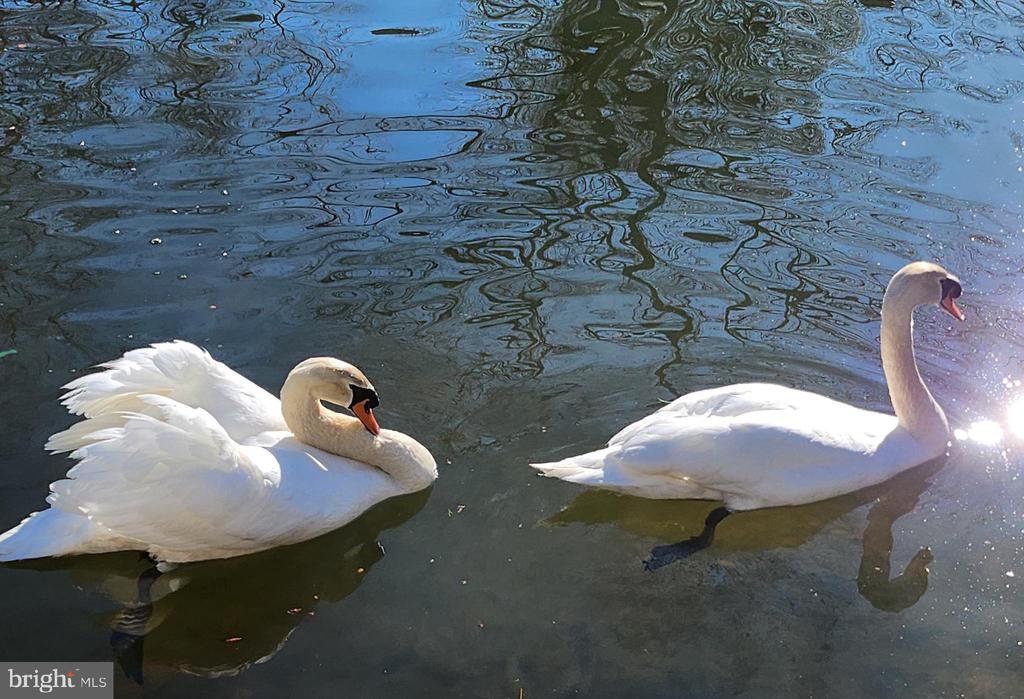 112 CONFEDERATE CIR, LOCUST GROVE, Virginia 22508, 5 Bedrooms Bedrooms, ,4 BathroomsBathrooms,Residential,112 CONFEDERATE CIR,VAOR2013686 MLS # VAOR2013686 112 CONFEDERATE CIR, LOCUST GROVE, Virginia 22508, 5 Bedrooms Bedrooms, ,4 BathroomsBathrooms,Residential,112 CONFEDERATE CIR,VAOR2013686 MLS # VAOR2013686