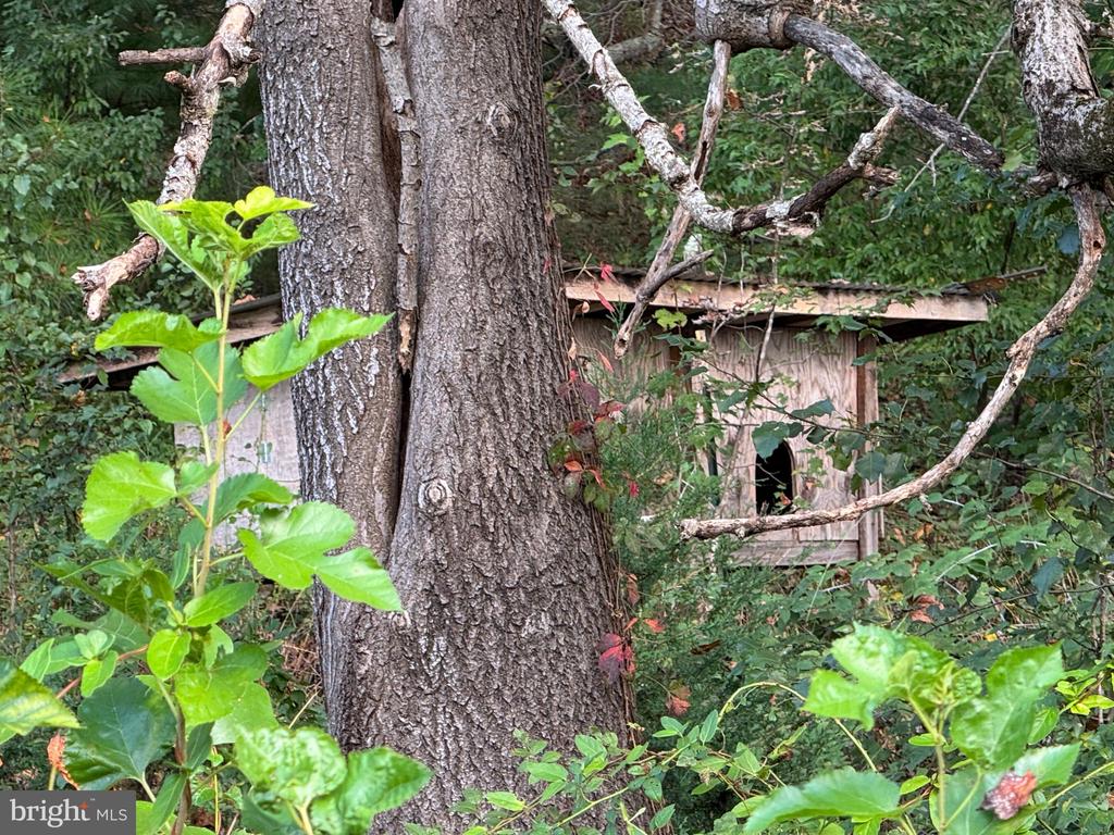 5424 N SEMINOLE TRL, BRIGHTWOOD, Virginia 22715, 3 Bedrooms Bedrooms, ,1 BathroomBathrooms,Residential,5424 N SEMINOLE TRL,VAMA2002660 MLS # VAMA2002660