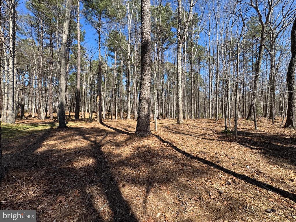 12001 HONOR BRIDGE FARM DR, SPOTSYLVANIA, Virginia 22551, 7 Bedrooms Bedrooms, ,5 BathroomsBathrooms,Residential,12001 HONOR BRIDGE FARM DR,VASP2040442 MLS # VASP2040442