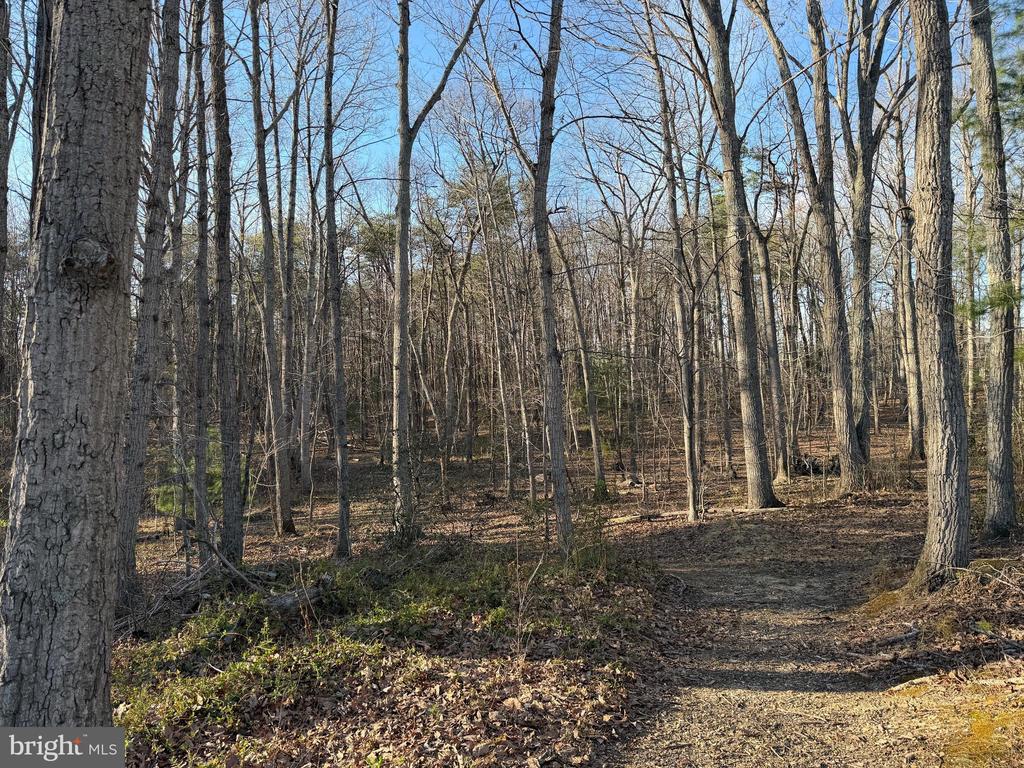 WOODLAND CHURCH RD, CULPEPER, Virginia 22701, ,Land,WOODLAND CHURCH RD,VACU2013136 MLS # VACU2013136