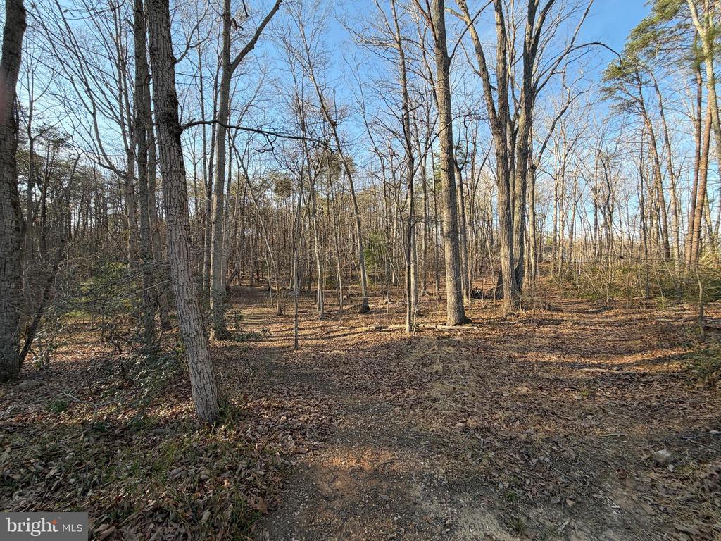 WOODLAND CHURCH RD, CULPEPER, Virginia 22701, ,Land,WOODLAND CHURCH RD,VACU2013136 MLS # VACU2013136