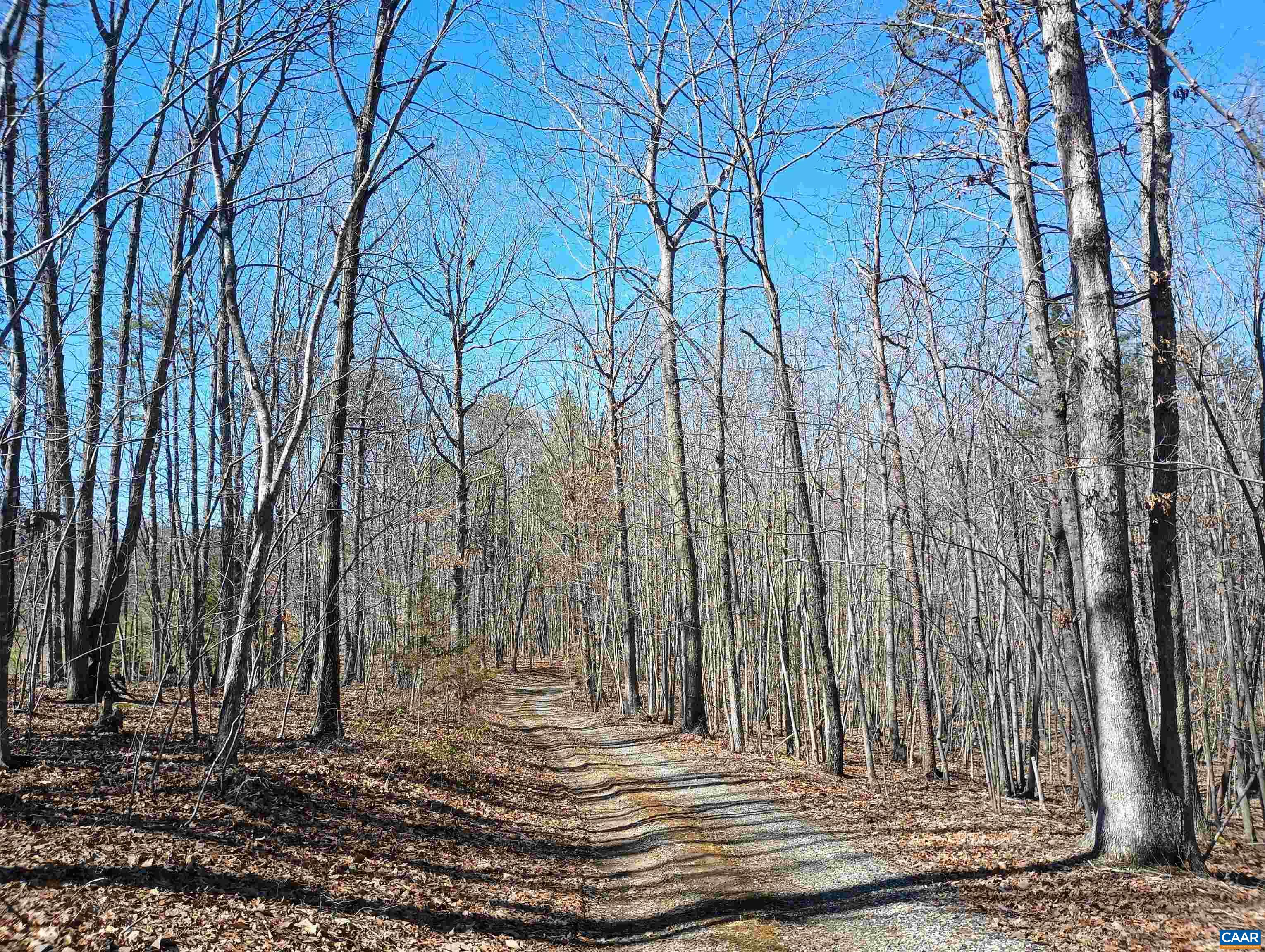 3901 MIDLAND RD, WINGINA, Virginia 24599, 2 Bedrooms Bedrooms, ,1 BathroomBathrooms,Residential,3901 MIDLAND RD,673762 MLS # 673762