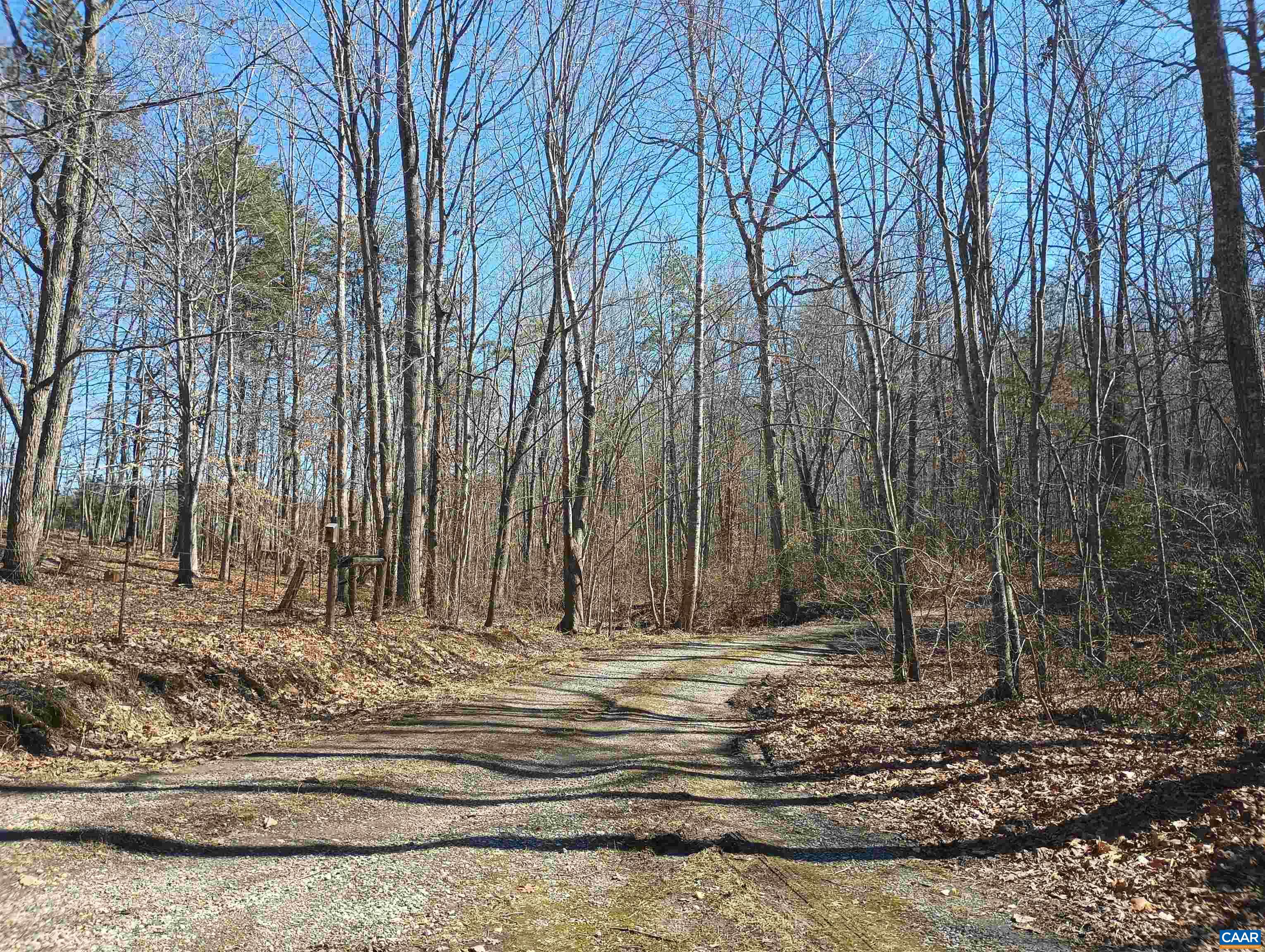 3901 MIDLAND RD, WINGINA, Virginia 24599, 2 Bedrooms Bedrooms, ,1 BathroomBathrooms,Residential,3901 MIDLAND RD,673762 MLS # 673762