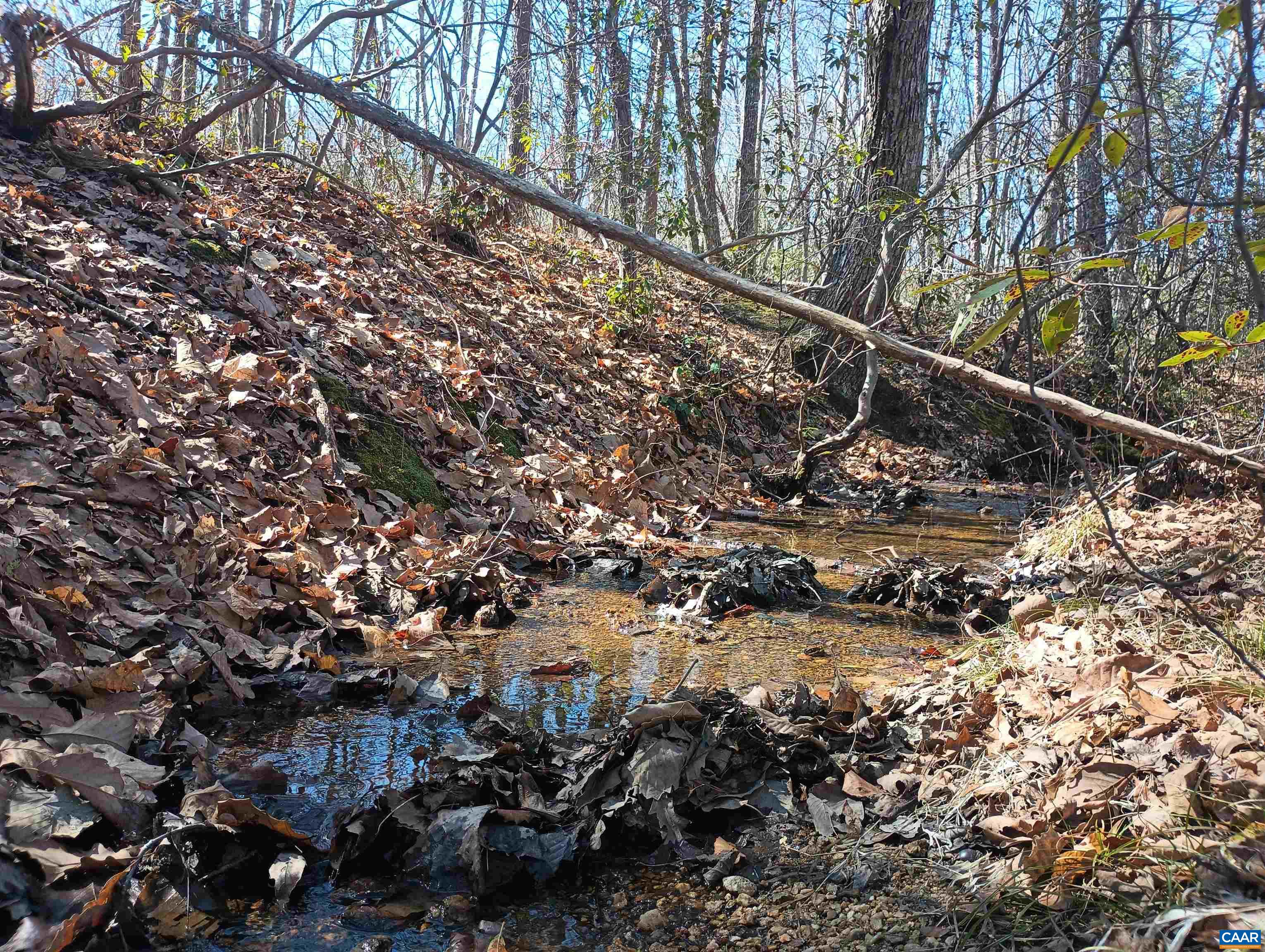 3901 MIDLAND RD, WINGINA, Virginia 24599, 2 Bedrooms Bedrooms, ,1 BathroomBathrooms,Residential,3901 MIDLAND RD,673762 MLS # 673762