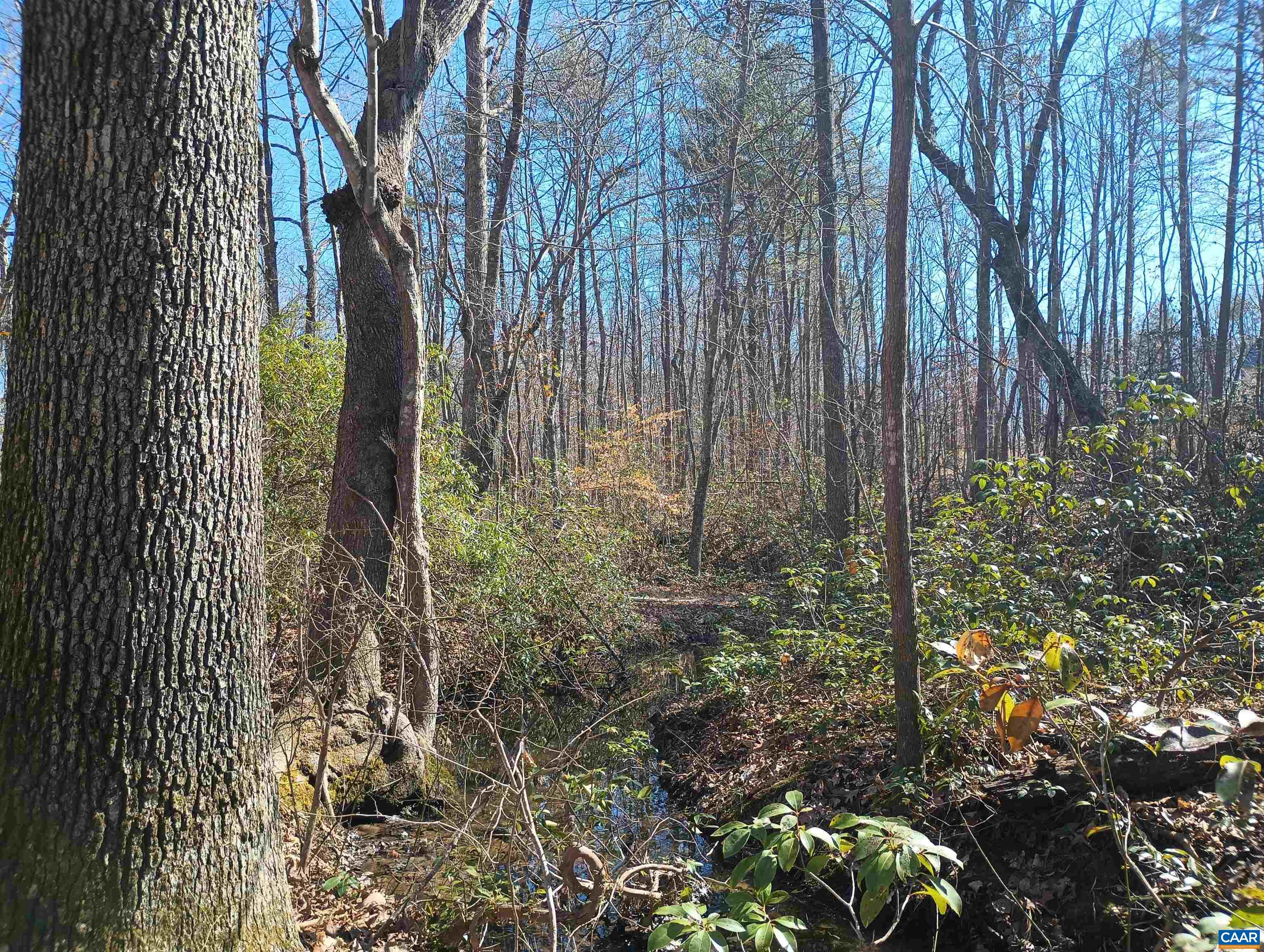 3901 MIDLAND RD, WINGINA, Virginia 24599, 2 Bedrooms Bedrooms, ,1 BathroomBathrooms,Residential,3901 MIDLAND RD,673762 MLS # 673762