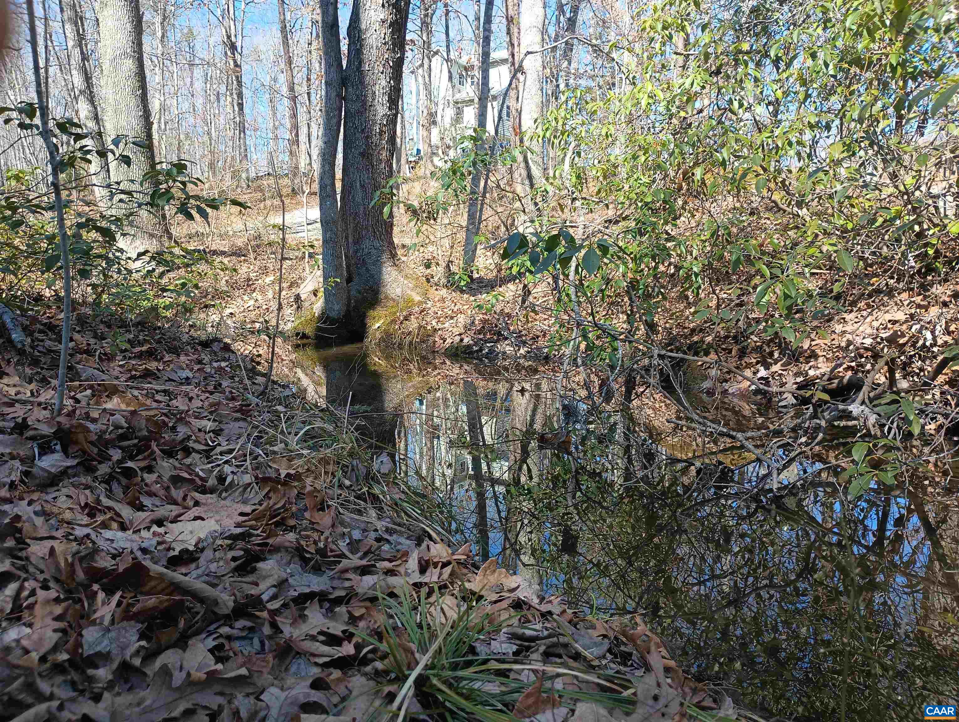 3901 MIDLAND RD, WINGINA, Virginia 24599, 2 Bedrooms Bedrooms, ,1 BathroomBathrooms,Residential,3901 MIDLAND RD,673762 MLS # 673762