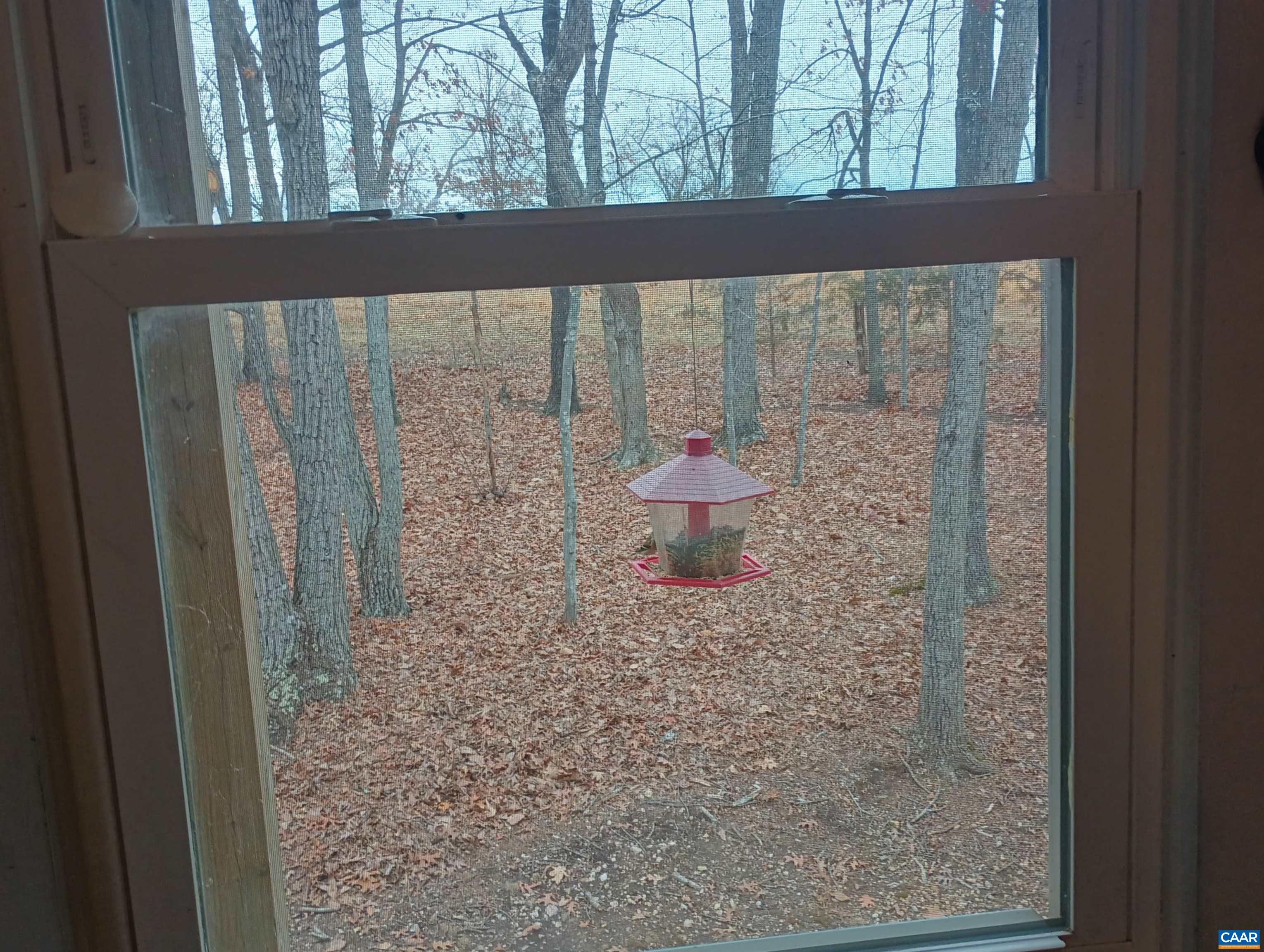 3901 MIDLAND RD, WINGINA, Virginia 24599, 2 Bedrooms Bedrooms, ,1 BathroomBathrooms,Residential,3901 MIDLAND RD,673762 MLS # 673762