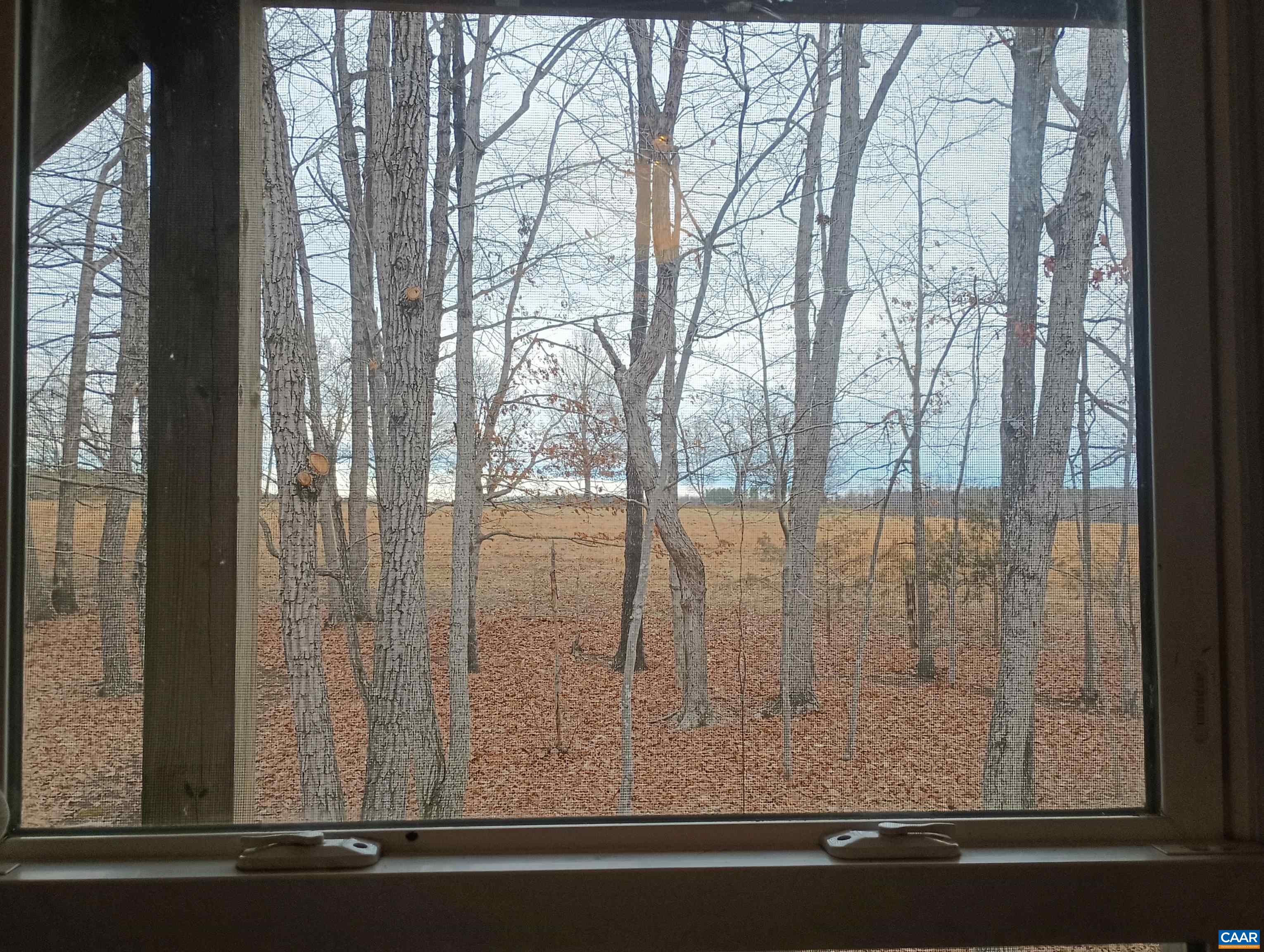 3901 MIDLAND RD, WINGINA, Virginia 24599, 2 Bedrooms Bedrooms, ,1 BathroomBathrooms,Residential,3901 MIDLAND RD,673762 MLS # 673762