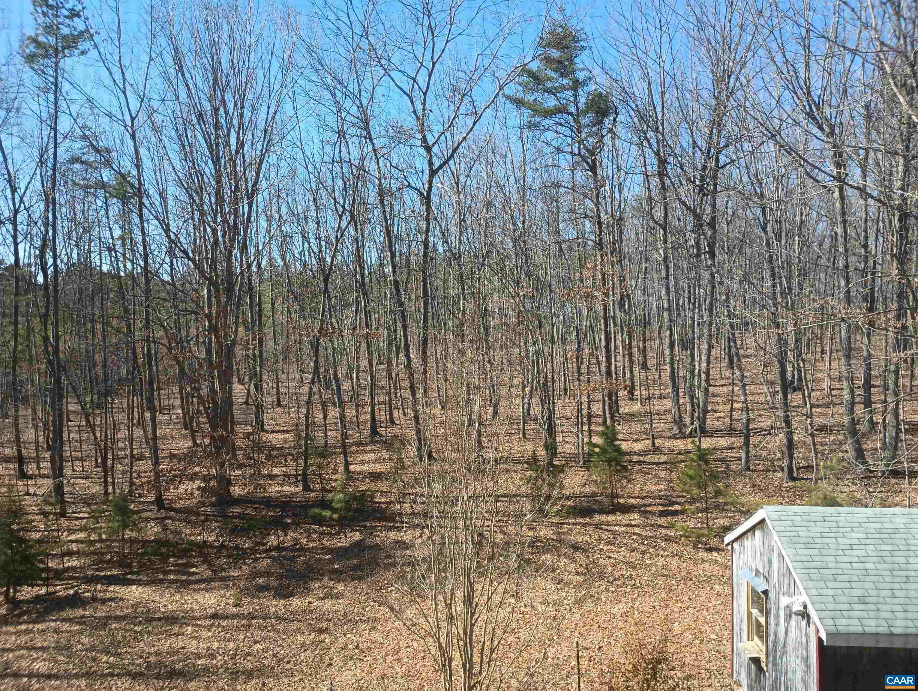 3901 MIDLAND RD, WINGINA, Virginia 24599, 2 Bedrooms Bedrooms, ,1 BathroomBathrooms,Residential,3901 MIDLAND RD,673762 MLS # 673762