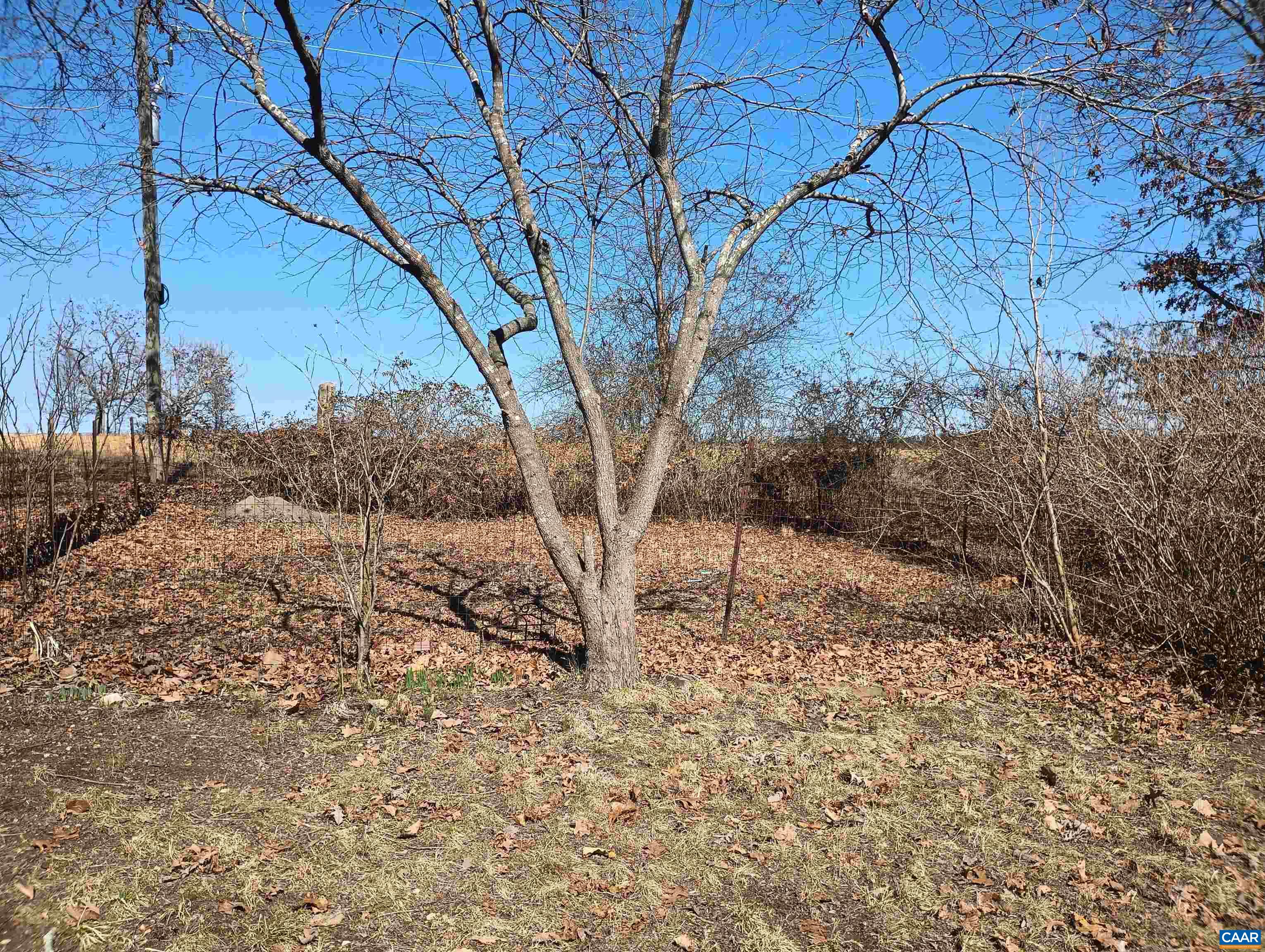 3901 MIDLAND RD, WINGINA, Virginia 24599, 2 Bedrooms Bedrooms, ,1 BathroomBathrooms,Residential,3901 MIDLAND RD,673762 MLS # 673762