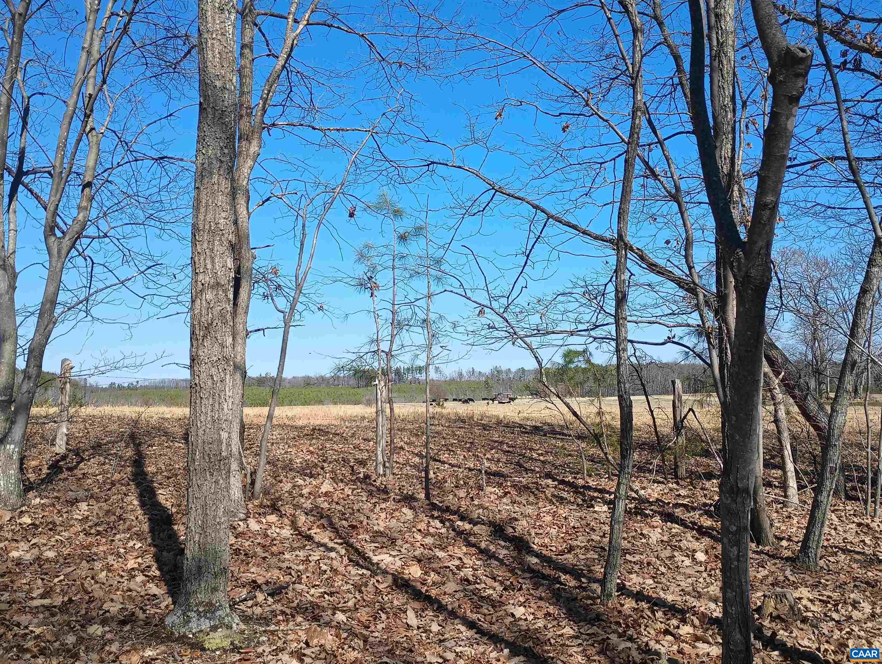 3901 MIDLAND RD, WINGINA, Virginia 24599, 2 Bedrooms Bedrooms, ,1 BathroomBathrooms,Residential,3901 MIDLAND RD,673762 MLS # 673762