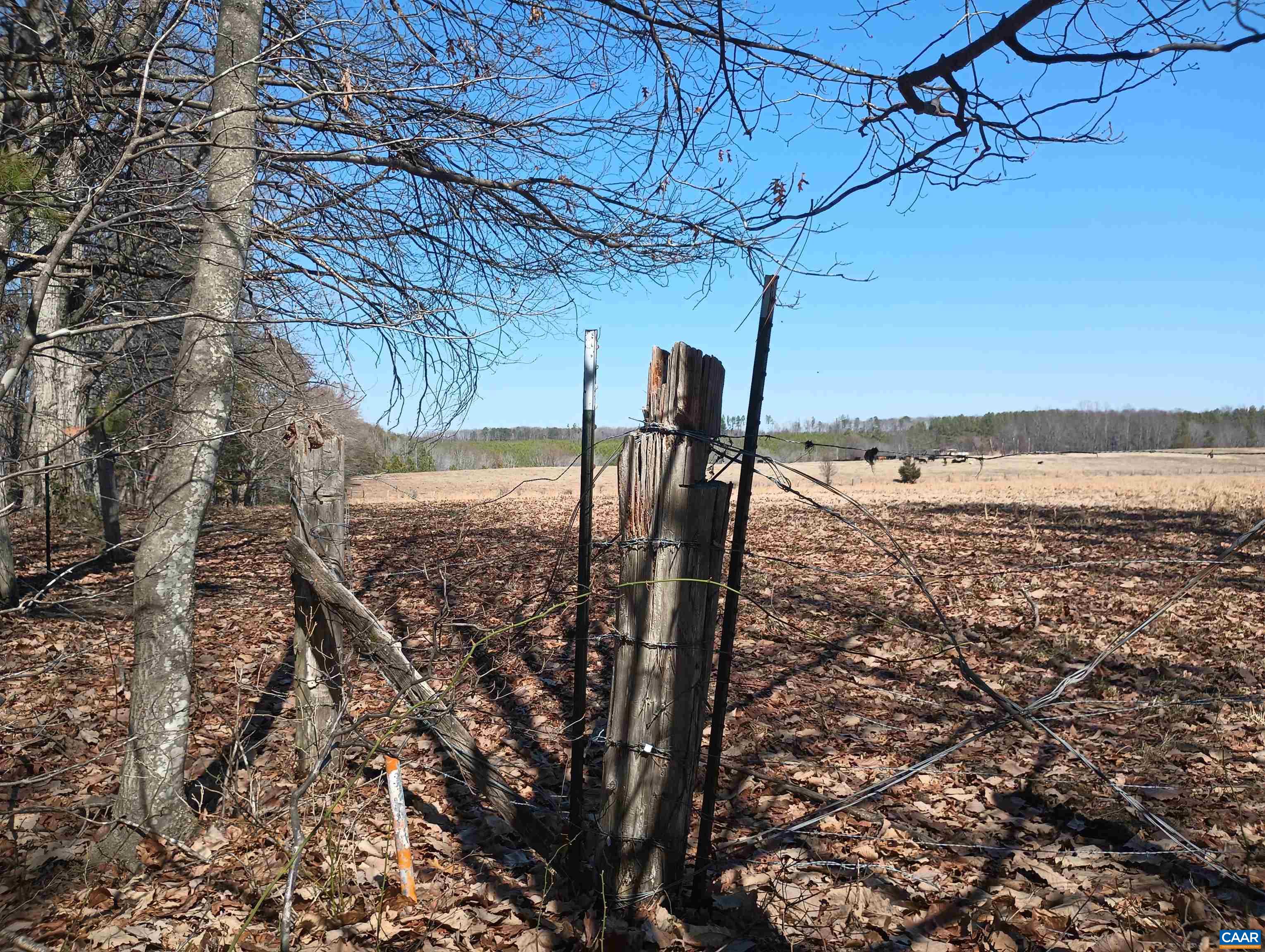 3901 MIDLAND RD, WINGINA, Virginia 24599, 2 Bedrooms Bedrooms, ,1 BathroomBathrooms,Residential,3901 MIDLAND RD,673762 MLS # 673762