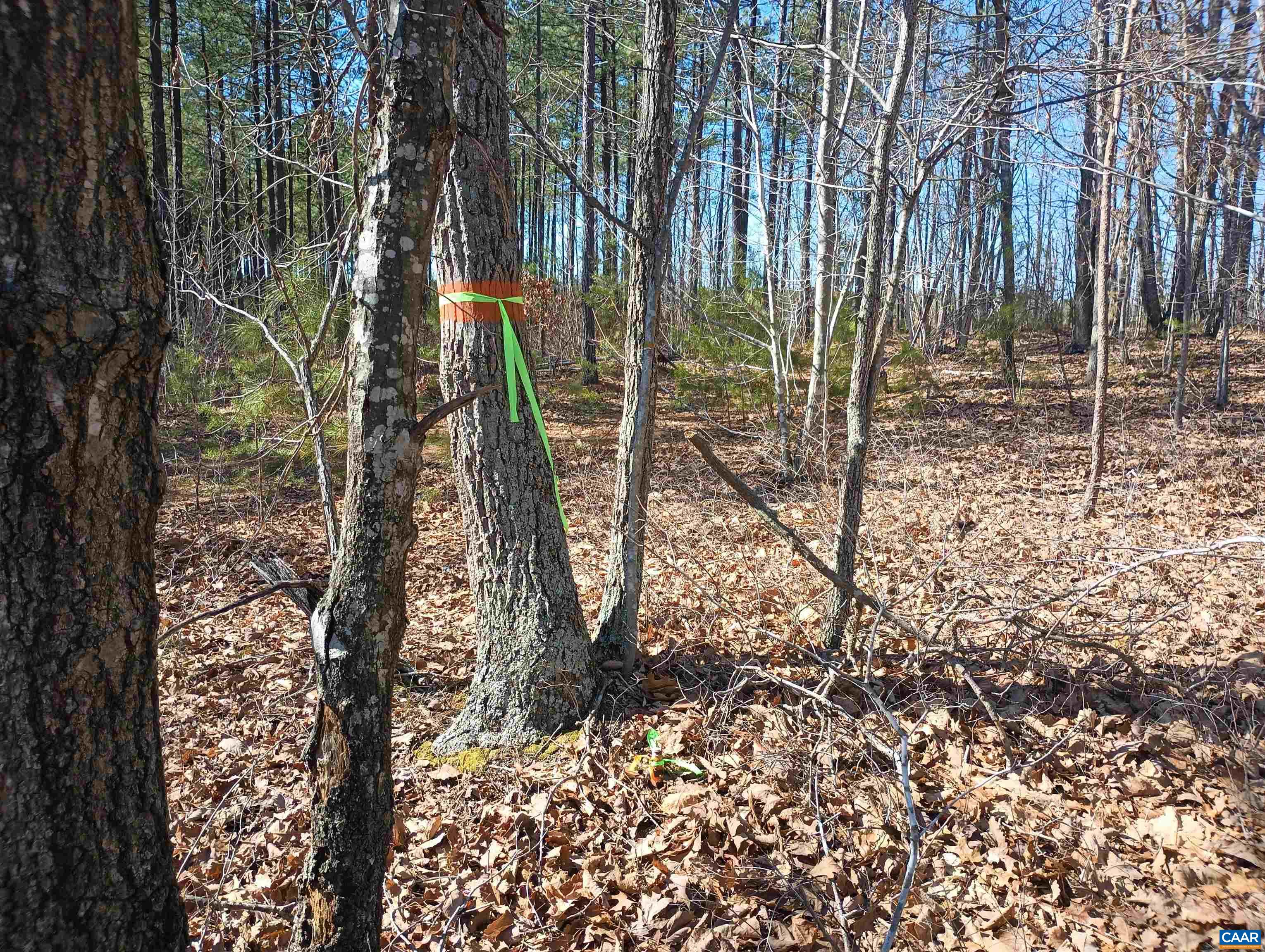 3901 MIDLAND RD, WINGINA, Virginia 24599, 2 Bedrooms Bedrooms, ,1 BathroomBathrooms,Residential,3901 MIDLAND RD,673762 MLS # 673762