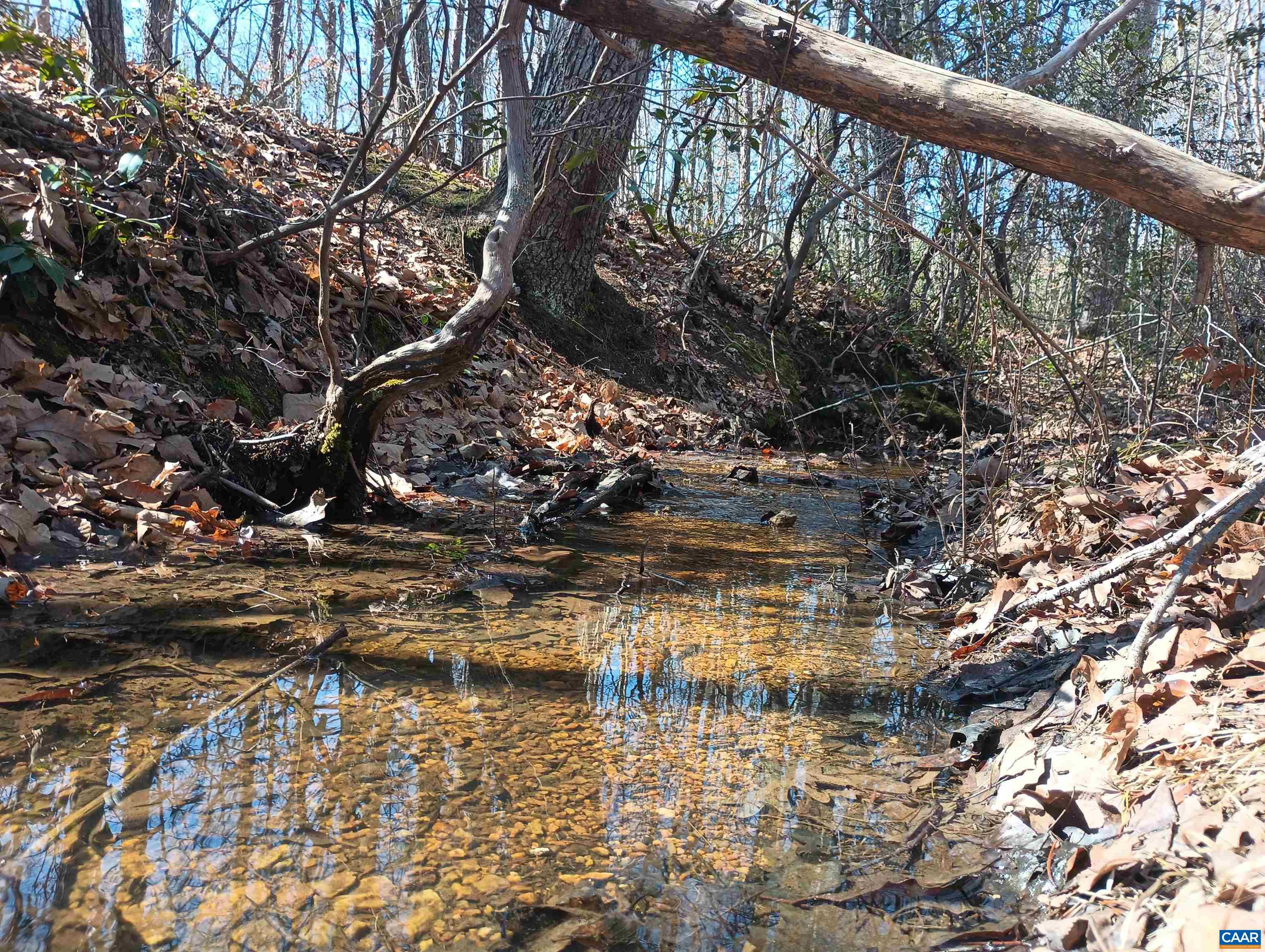 3901 MIDLAND RD, WINGINA, Virginia 24599, 2 Bedrooms Bedrooms, ,1 BathroomBathrooms,Residential,3901 MIDLAND RD,673762 MLS # 673762