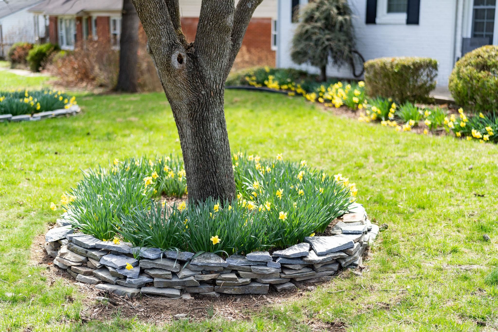 85 SHARON ST, HARRISONBURG, Virginia 22801, 3 Bedrooms Bedrooms, ,1 BathroomBathrooms,Residential,85 SHARON ST,675034 MLS # 675034