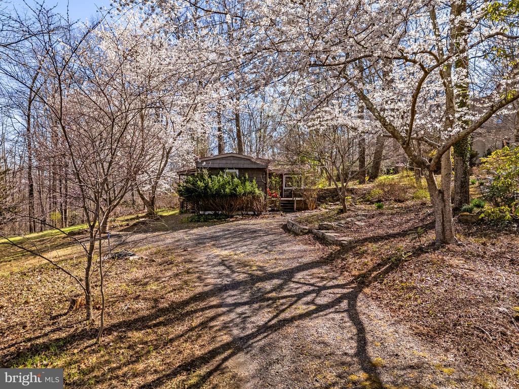 40 ANGEL KISS LN, CASTLETON, Virginia 22716, 2 Bedrooms Bedrooms, ,2 BathroomsBathrooms,Residential,40 ANGEL KISS LN,VARP2002550 MLS # VARP2002550