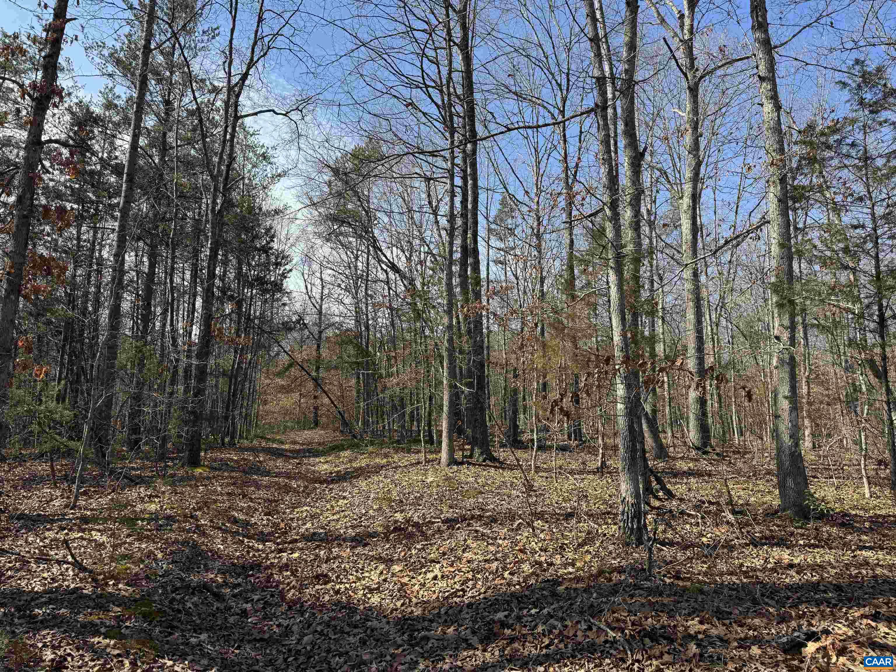 2301 THREE NOTCH RD, KENTS STORE, Virginia 23084, ,Land,2301 THREE NOTCH RD,675056 MLS # 675056
