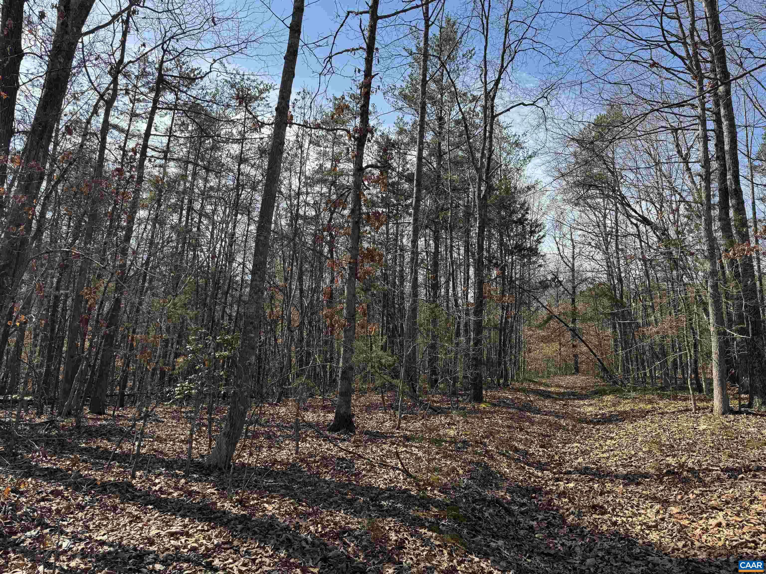 2301 THREE NOTCH RD, KENTS STORE, Virginia 23084, ,Land,2301 THREE NOTCH RD,675056 MLS # 675056