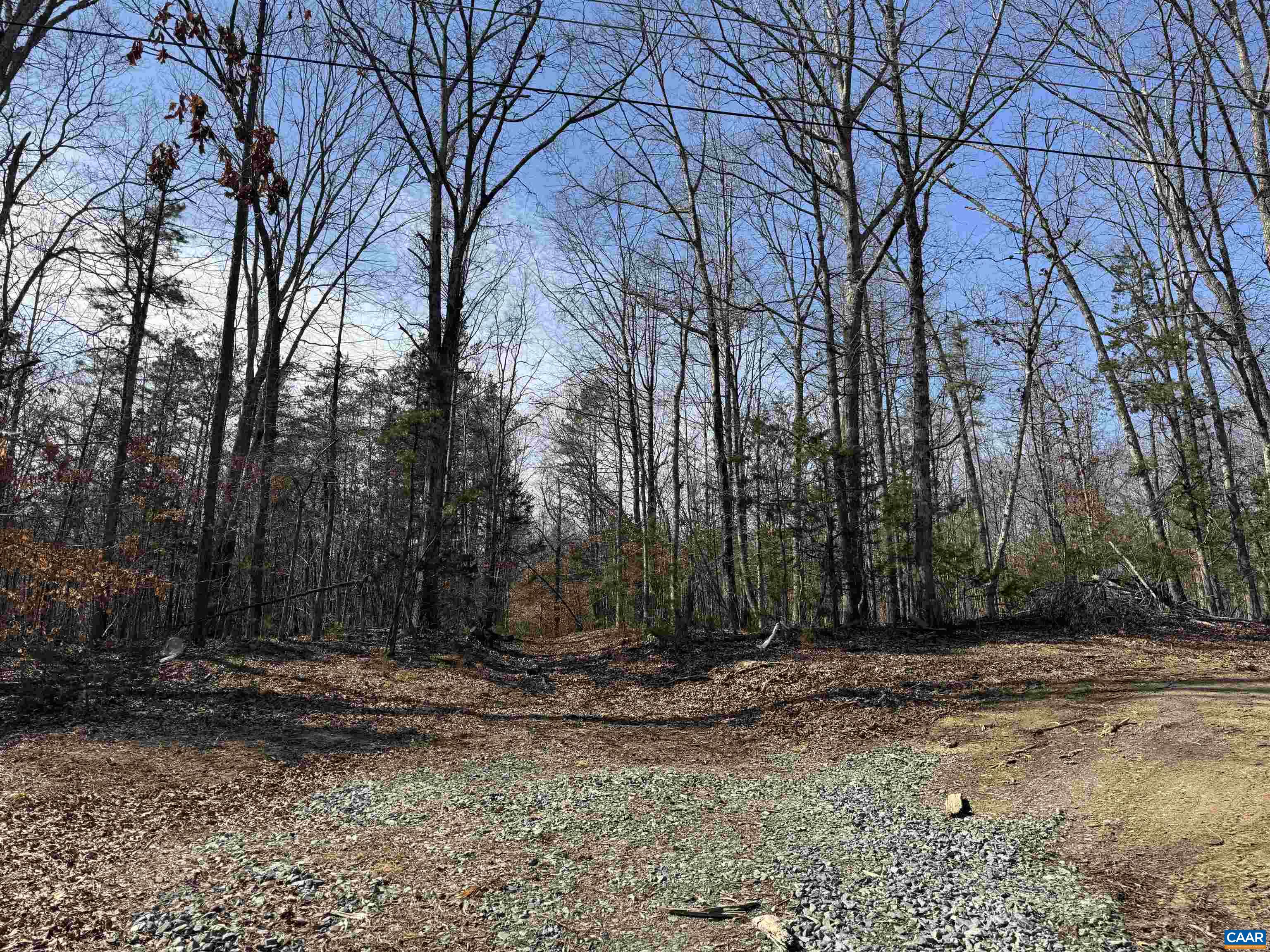 2301 THREE NOTCH RD, KENTS STORE, Virginia 23084, ,Land,2301 THREE NOTCH RD,675056 MLS # 675056