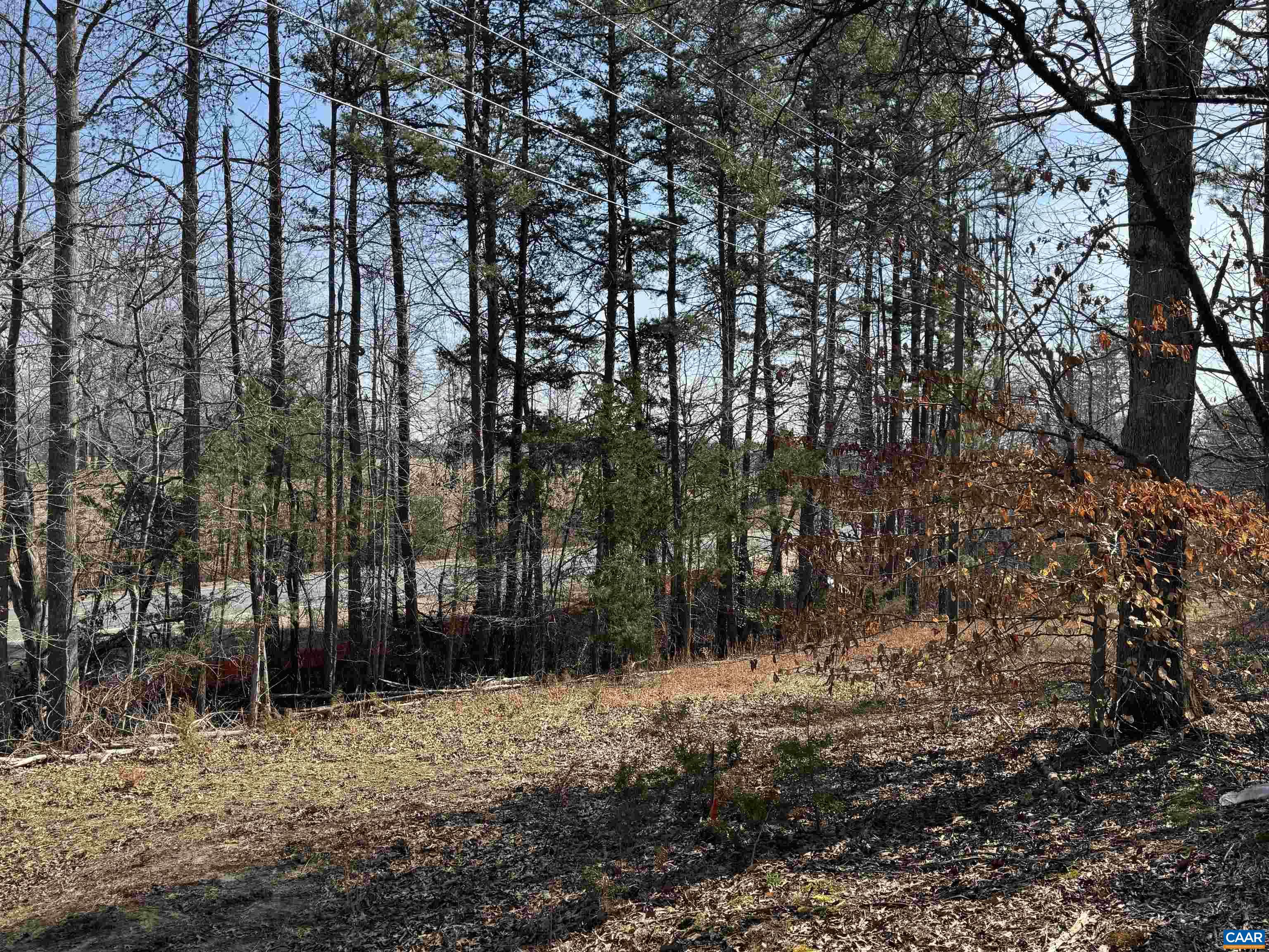 2301 THREE NOTCH RD, KENTS STORE, Virginia 23084, ,Land,2301 THREE NOTCH RD,675056 MLS # 675056