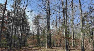 2301 THREE NOTCH RD, KENTS STORE, Virginia 23084, ,Land,2301 THREE NOTCH RD,675056 MLS # 675056