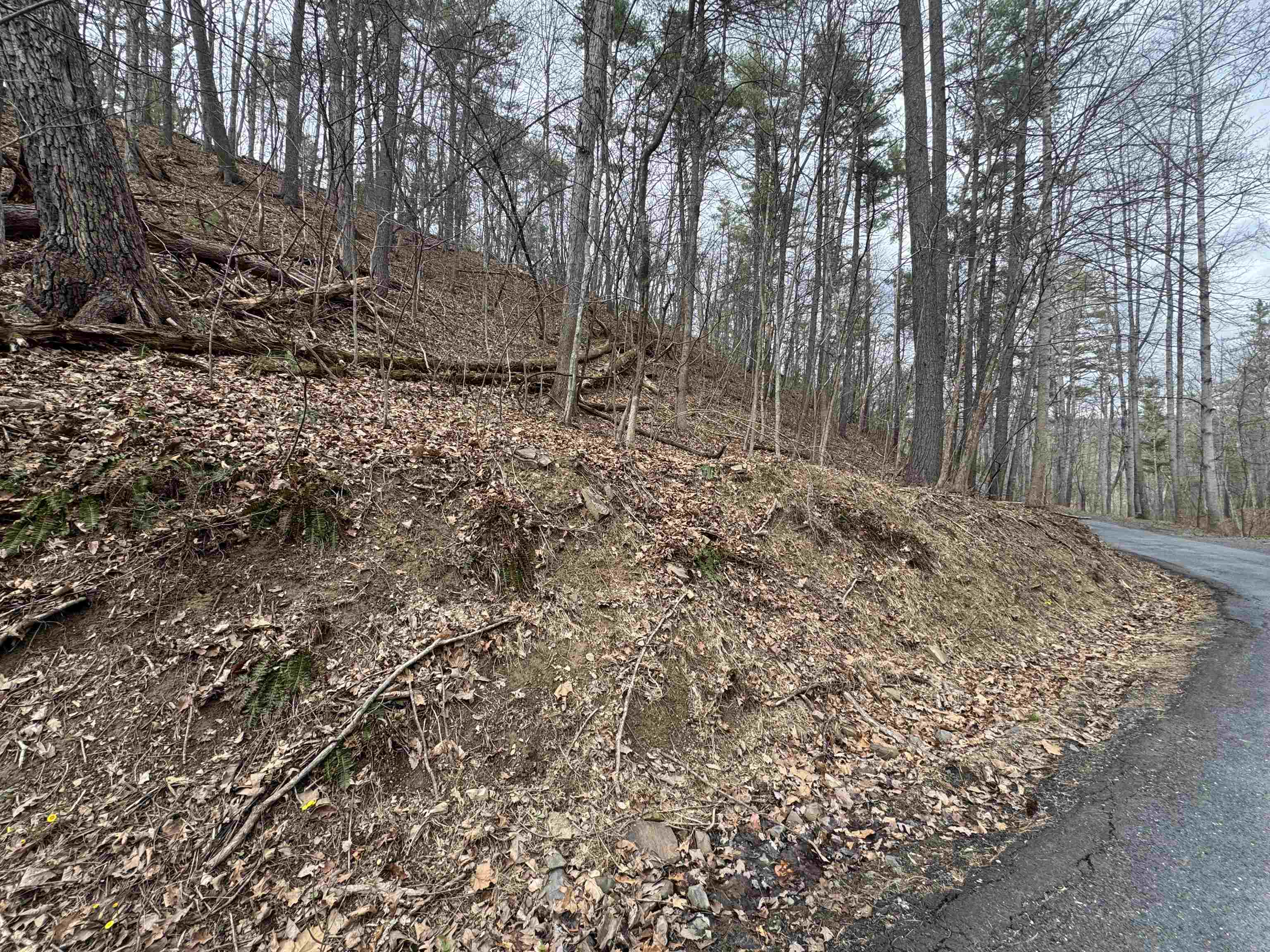 TBD FAIRWAY DR, BASYE, Virginia 22810, ,Land,Lot 45 Fairway Dr, Basye VA, 22810,TBD FAIRWAY DR,675074 MLS # 675074