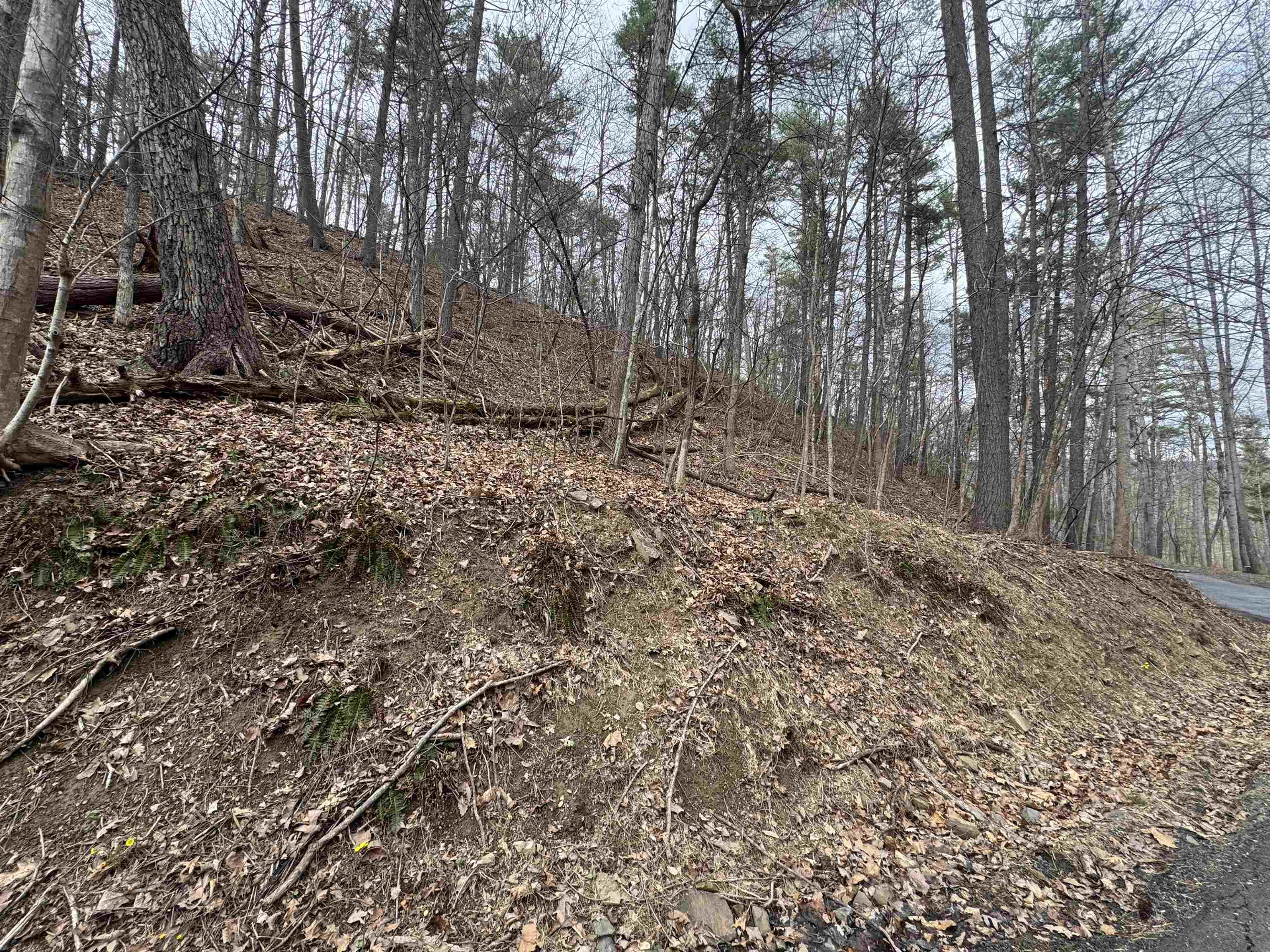 TBD FAIRWAY DR, BASYE, Virginia 22810, ,Land,Lot 45 Fairway Dr, Basye VA, 22810,TBD FAIRWAY DR,675074 MLS # 675074