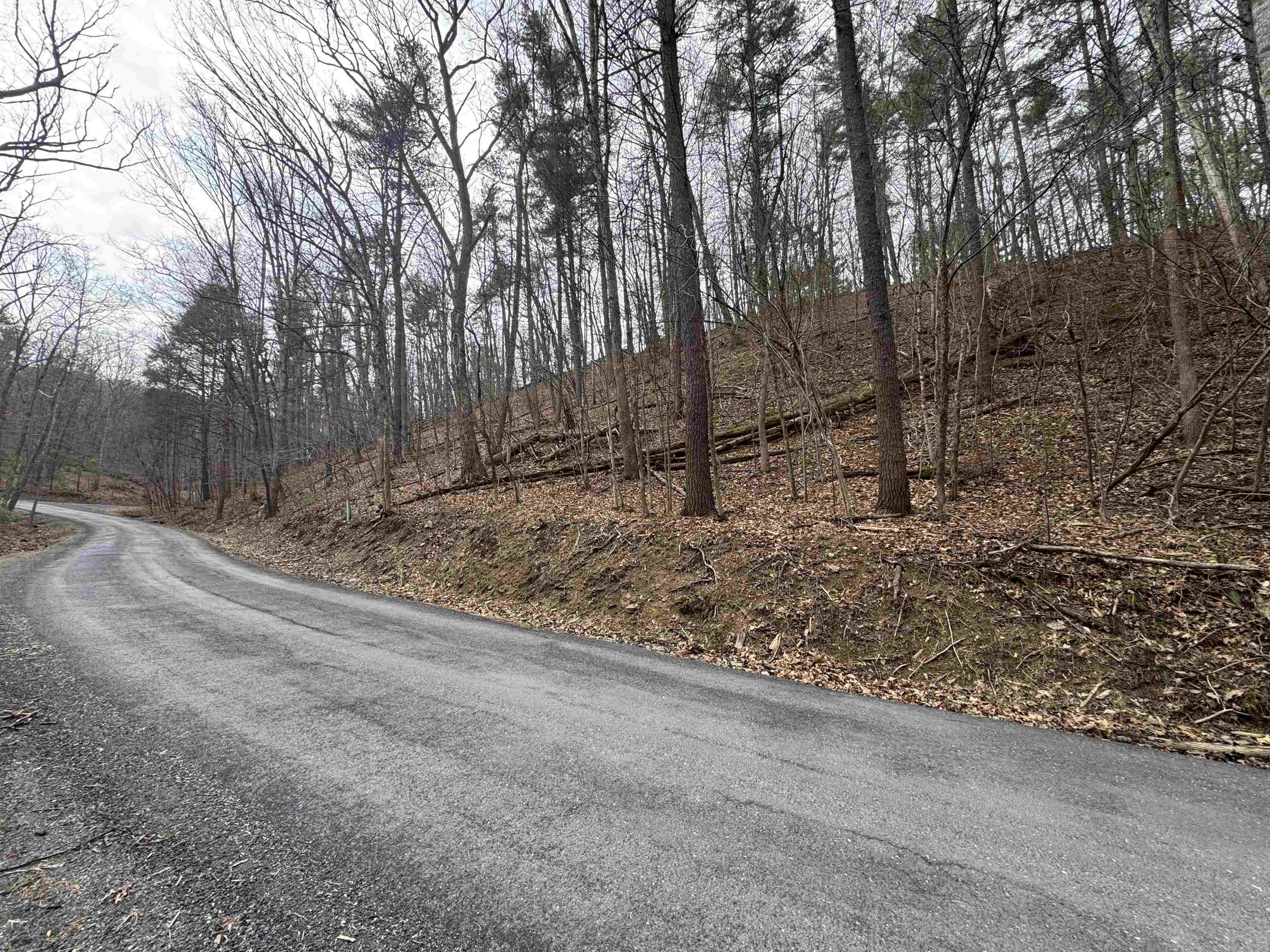 TBD FAIRWAY DR, BASYE, Virginia 22810, ,Land,Lot 45 Fairway Dr, Basye VA, 22810,TBD FAIRWAY DR,675074 MLS # 675074