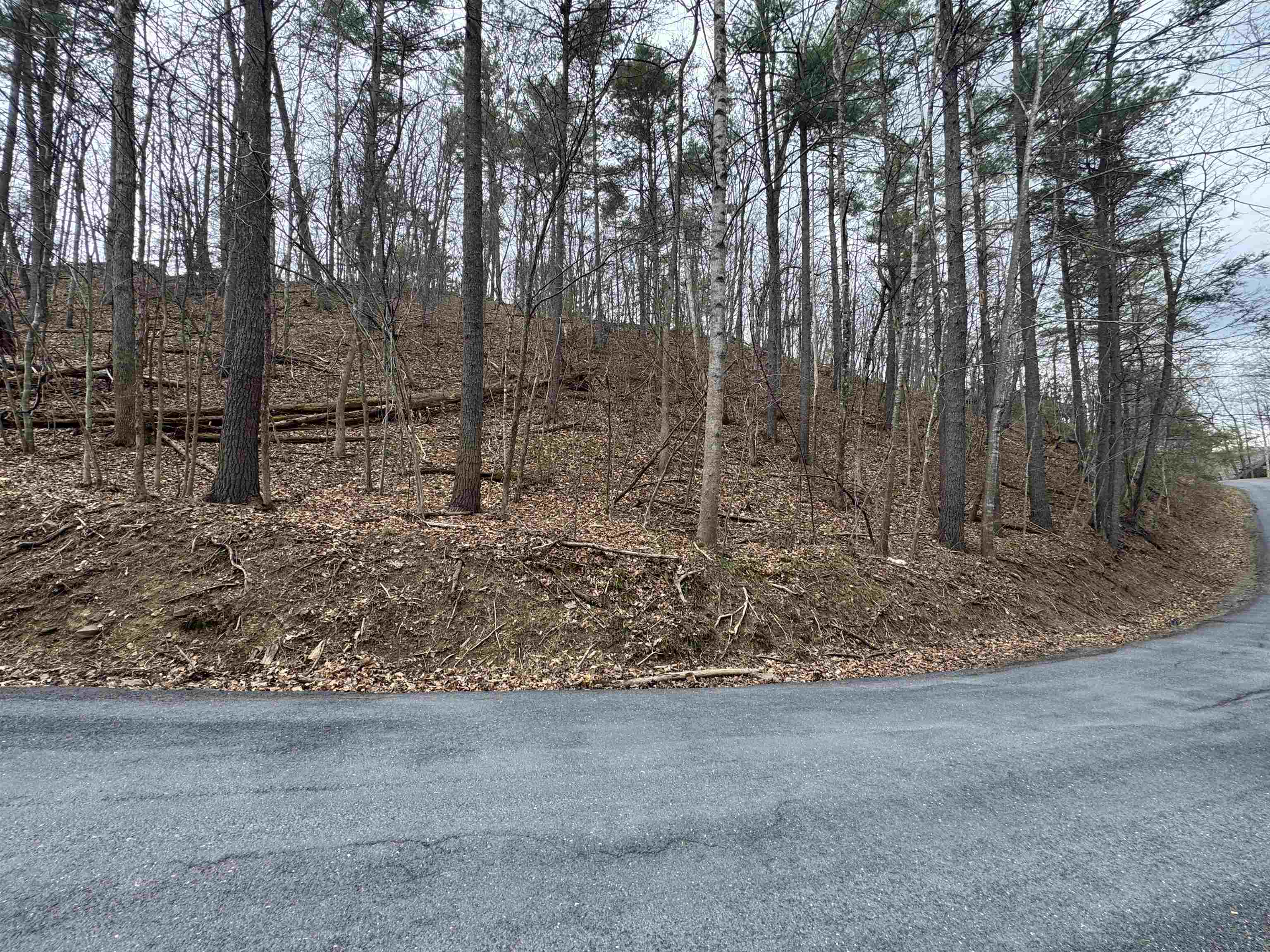 TBD FAIRWAY DR, BASYE, Virginia 22810, ,Land,Lot 45 Fairway Dr, Basye VA, 22810,TBD FAIRWAY DR,675074 MLS # 675074