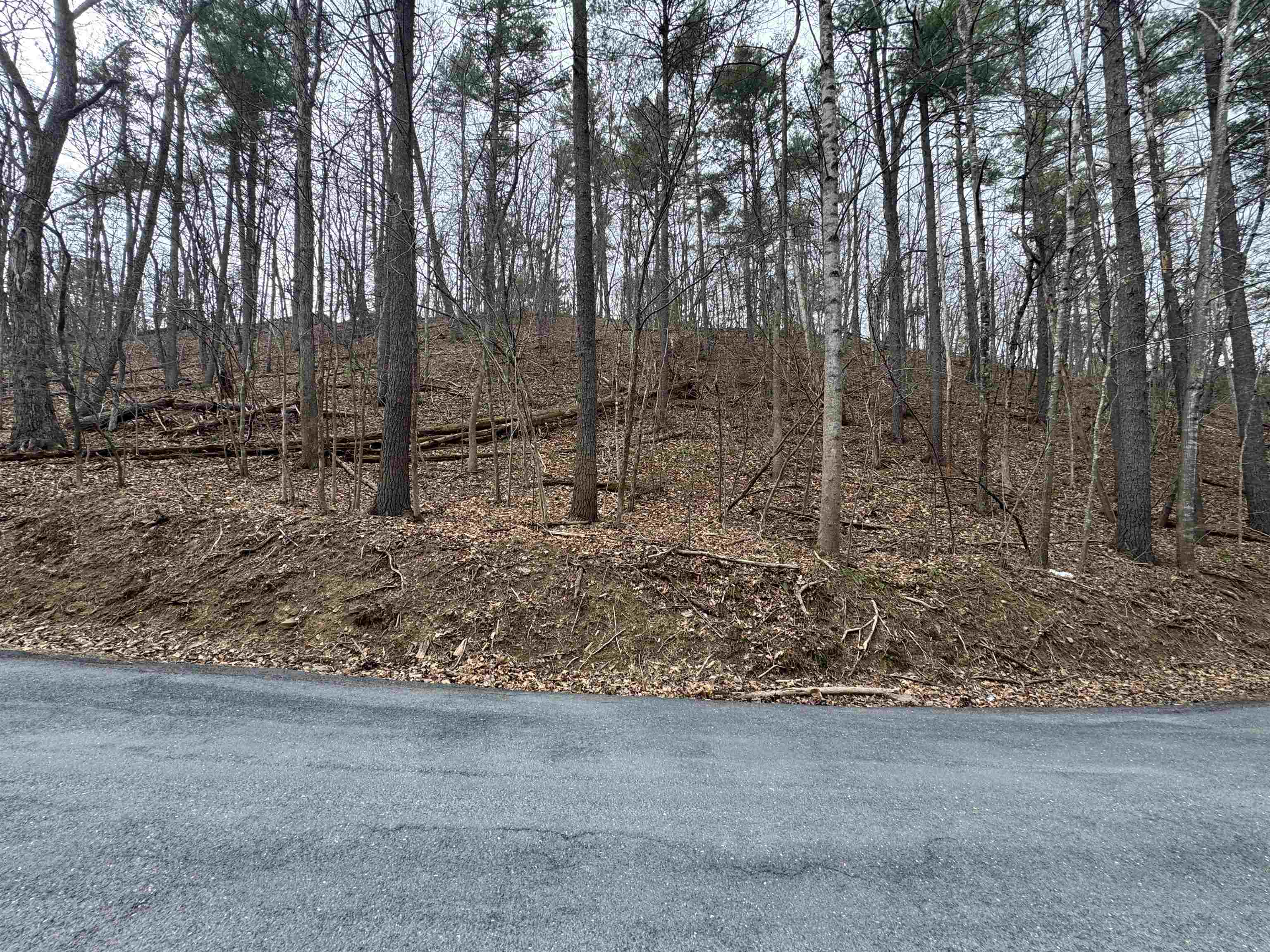 TBD FAIRWAY DR, BASYE, Virginia 22810, ,Land,Lot 45 Fairway Dr, Basye VA, 22810,TBD FAIRWAY DR,675074 MLS # 675074