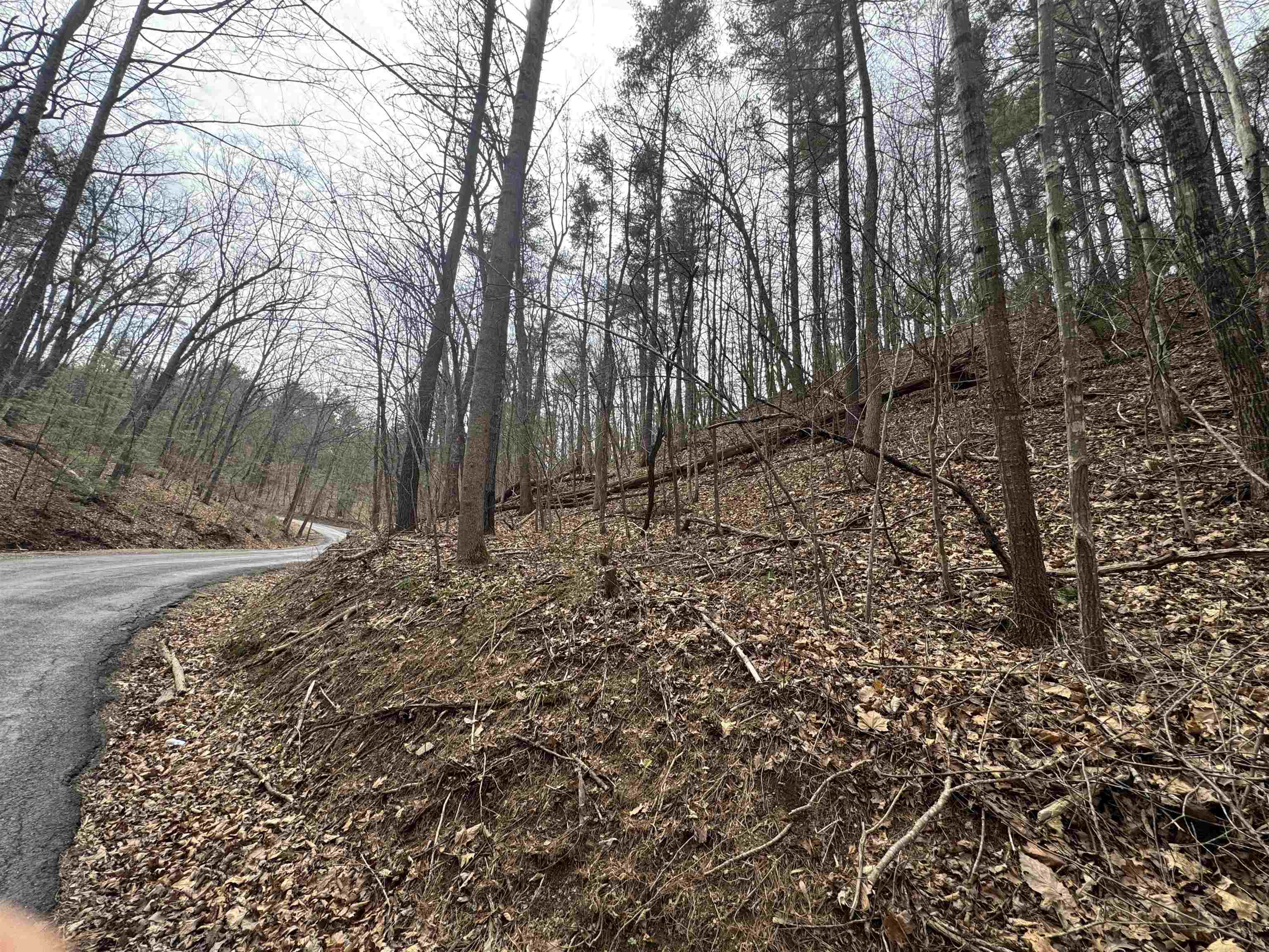 TBD FAIRWAY DR, BASYE, Virginia 22810, ,Land,Lot 45 Fairway Dr, Basye VA, 22810,TBD FAIRWAY DR,675074 MLS # 675074