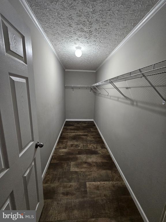 13906 MARSHALL TRACT CT, SPOTSYLVANIA, Virginia 22551, 3 Bedrooms Bedrooms, ,2 BathroomsBathrooms,Residential,13906 MARSHALL TRACT CT,VASP2039702 MLS # VASP2039702