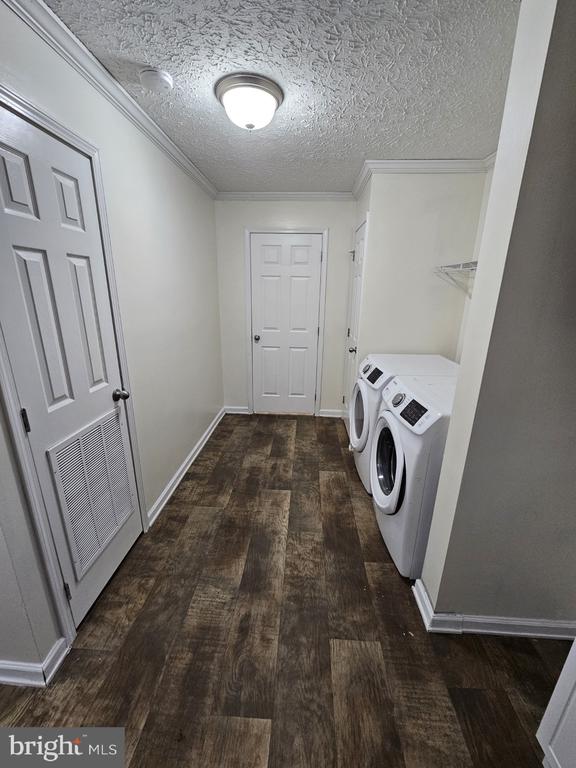 13906 MARSHALL TRACT CT, SPOTSYLVANIA, Virginia 22551, 3 Bedrooms Bedrooms, ,2 BathroomsBathrooms,Residential,13906 MARSHALL TRACT CT,VASP2039702 MLS # VASP2039702