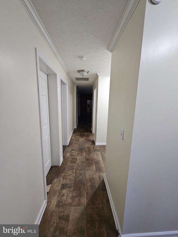 13906 MARSHALL TRACT CT, SPOTSYLVANIA, Virginia 22551, 3 Bedrooms Bedrooms, ,2 BathroomsBathrooms,Residential,13906 MARSHALL TRACT CT,VASP2039702 MLS # VASP2039702