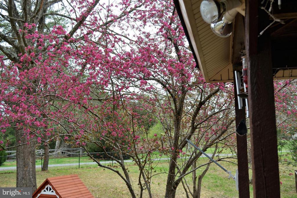 7719 VERMONT RD, RHOADESVILLE, Virginia 22542, 3 Bedrooms Bedrooms, ,2 BathroomsBathrooms,Residential,7719 VERMONT RD,VAOR2013696 MLS # VAOR2013696