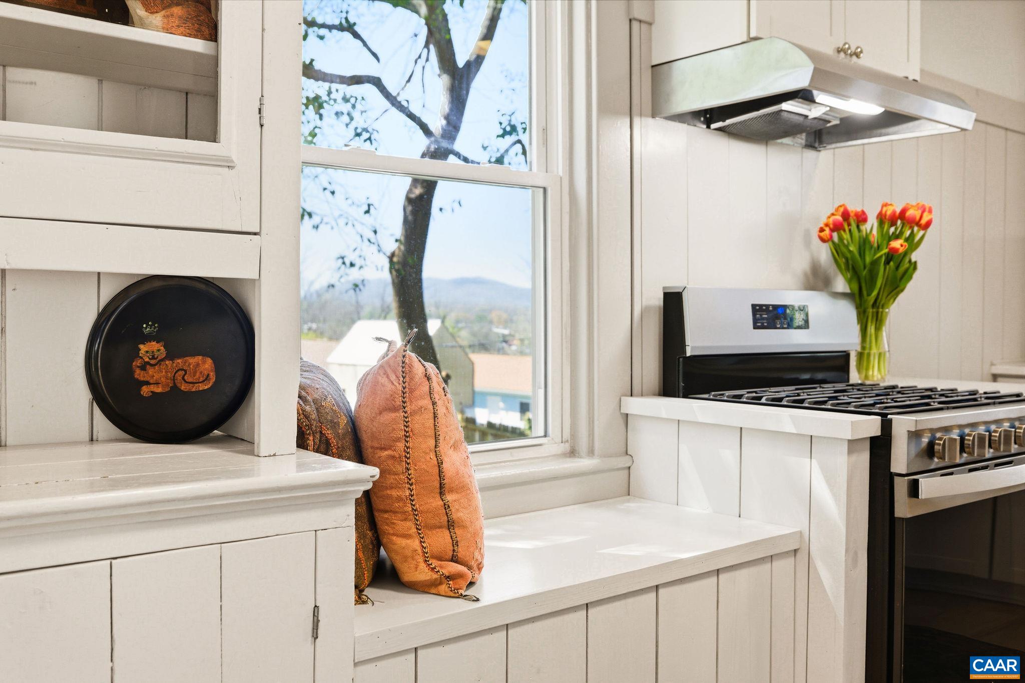 1016 ELLIOTT AVE, CHARLOTTESVILLE, Virginia 22902, 2 Bedrooms Bedrooms, ,1 BathroomBathrooms,Residential,1016 ELLIOTT AVE,674781 MLS # 674781