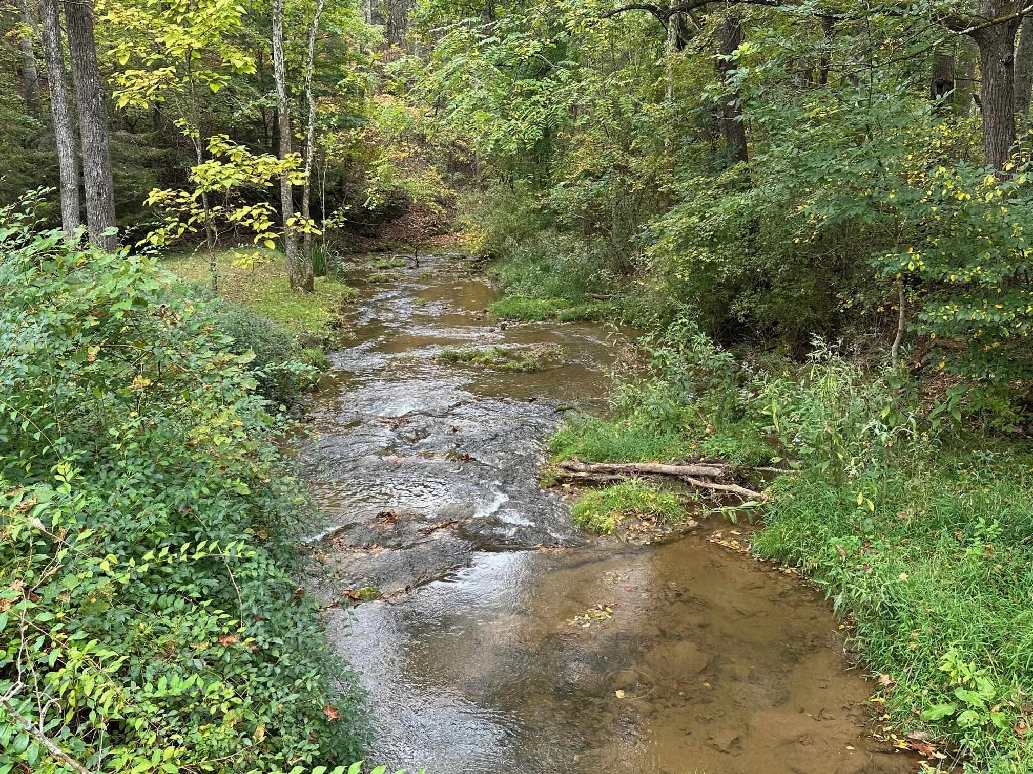 6614 MIDDLEBROOK RD, RAPHINE, Virginia 24472, 2 Bedrooms Bedrooms, ,2 BathroomsBathrooms,Residential,Moffatts Creek Cottage Located in Augusta Count,6614 MIDDLEBROOK RD,675080 MLS # 675080