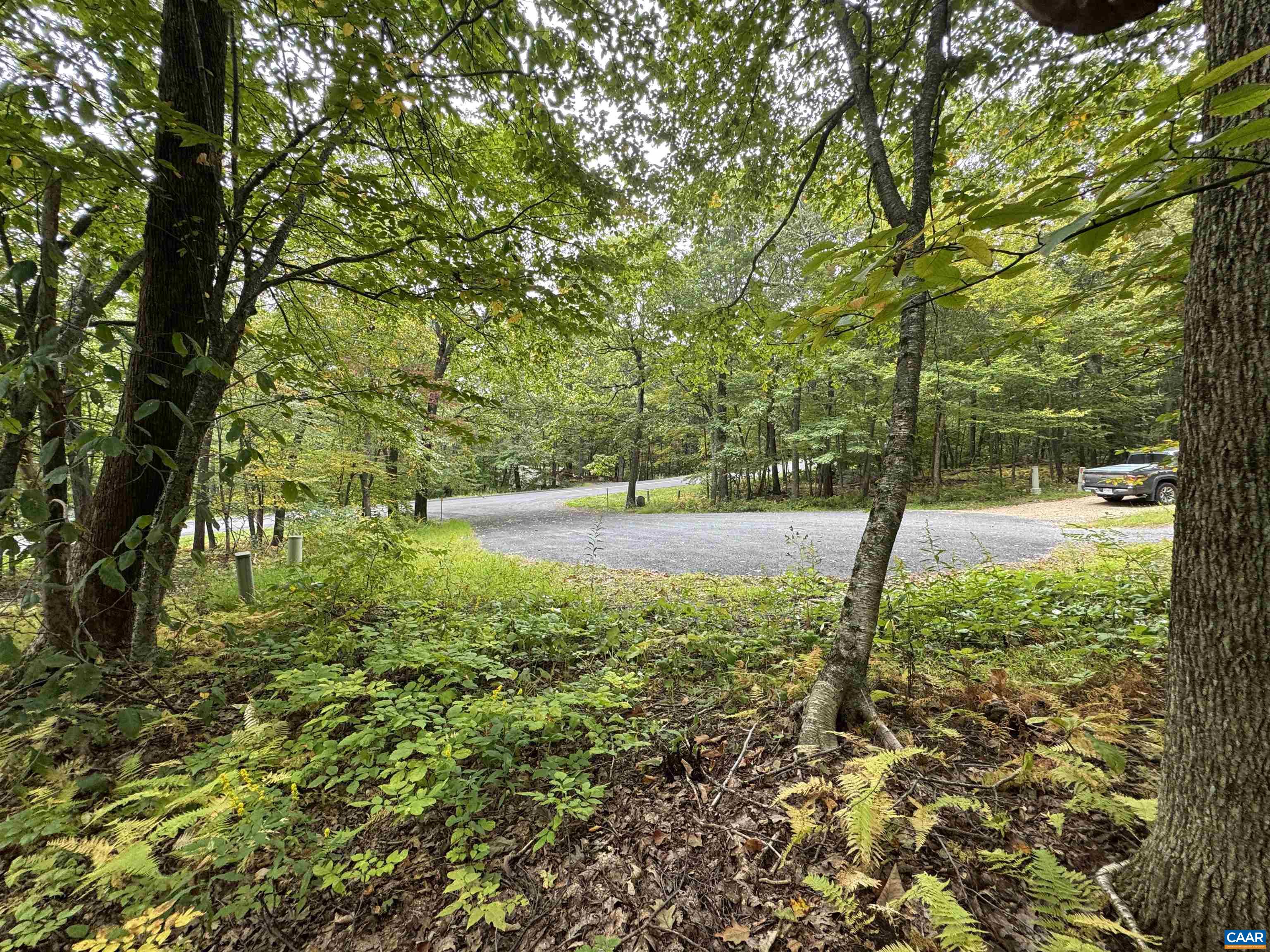 12 DRIPPING ROCK LN, WINTERGREEN RESORT, Virginia 22967, ,Land,12 DRIPPING ROCK LN,675094 MLS # 675094