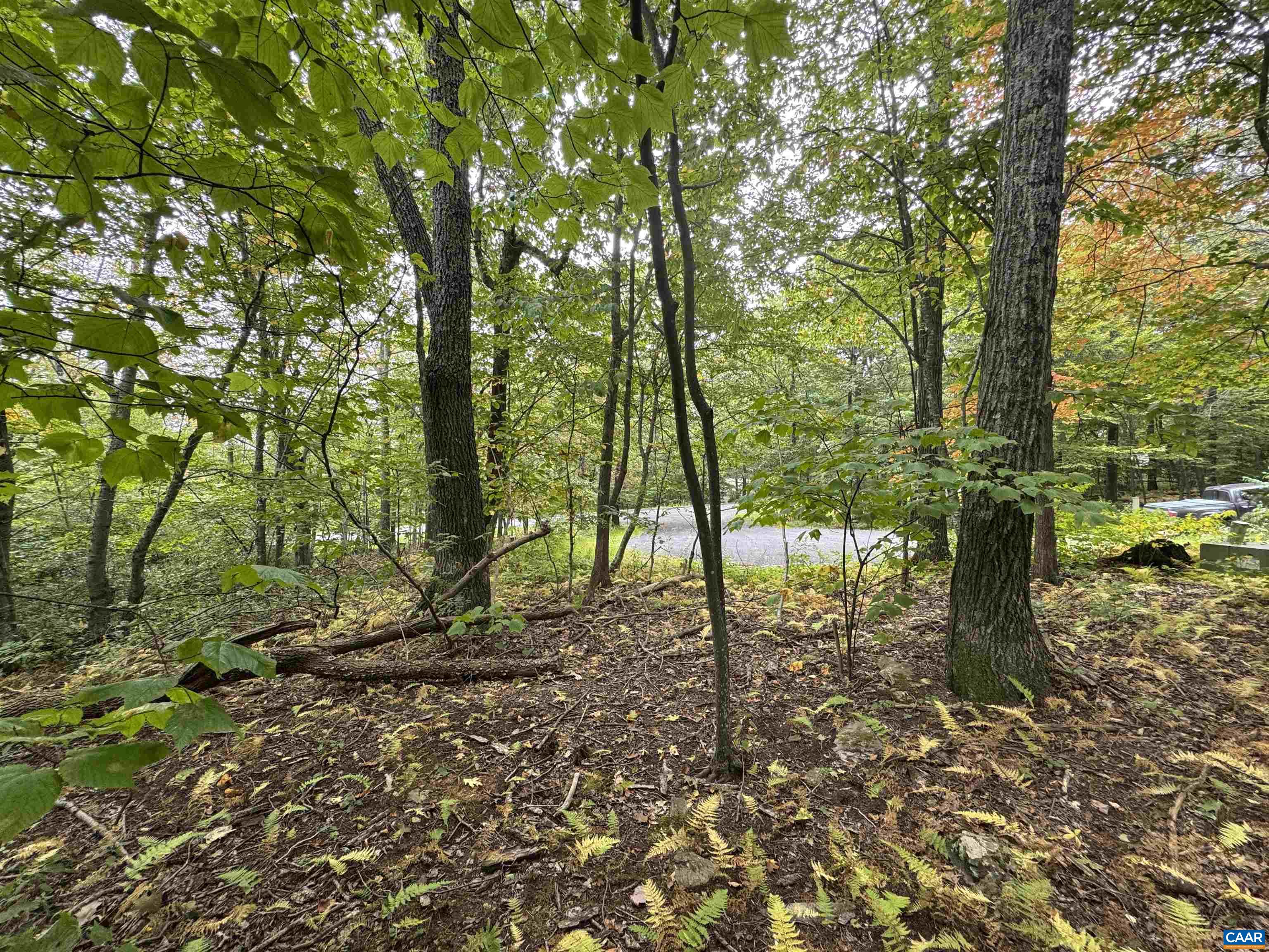 12 DRIPPING ROCK LN, WINTERGREEN RESORT, Virginia 22967, ,Land,12 DRIPPING ROCK LN,675094 MLS # 675094