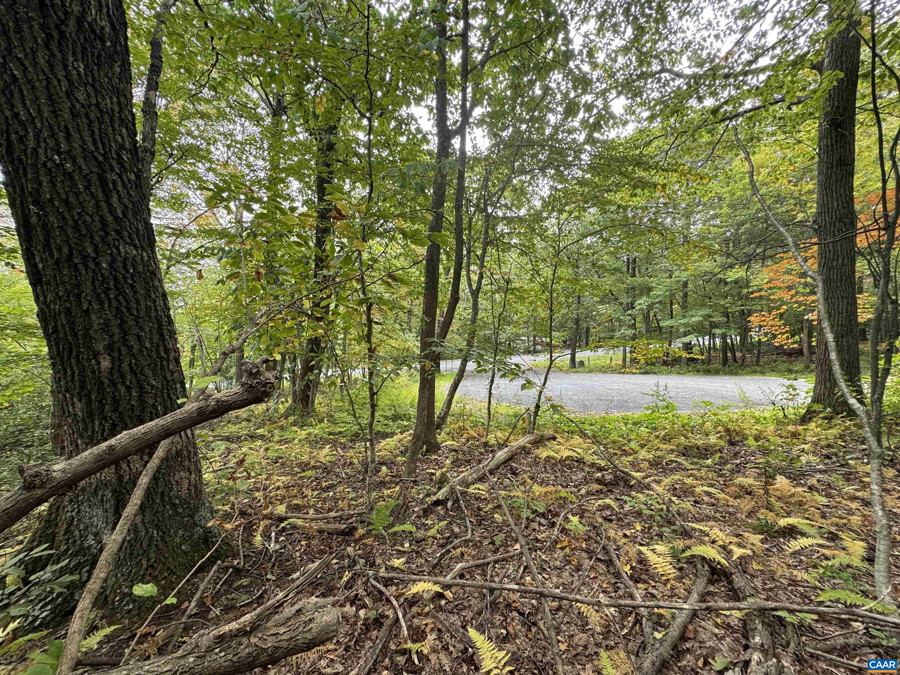 12 DRIPPING ROCK LN, WINTERGREEN RESORT, Virginia 22967, ,Land,12 DRIPPING ROCK LN,675094 MLS # 675094