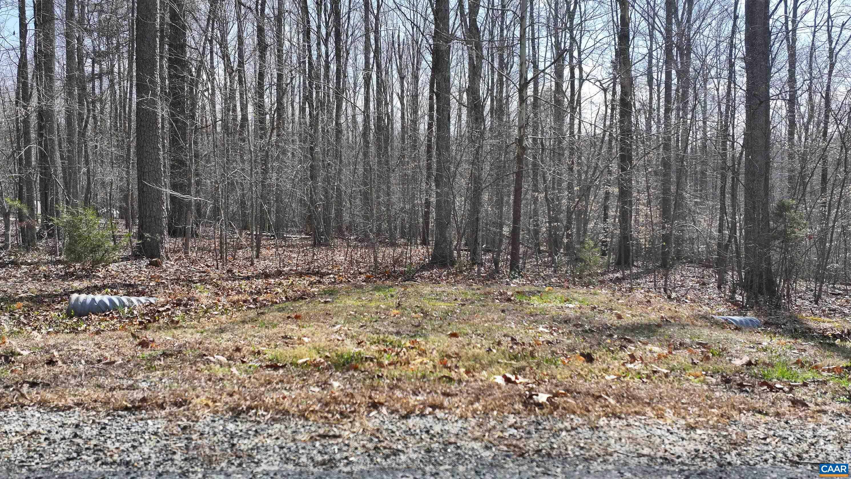 112 FISHER DR, MINERAL, Virginia 23117, ,Land,112 FISHER DR,675099 MLS # 675099