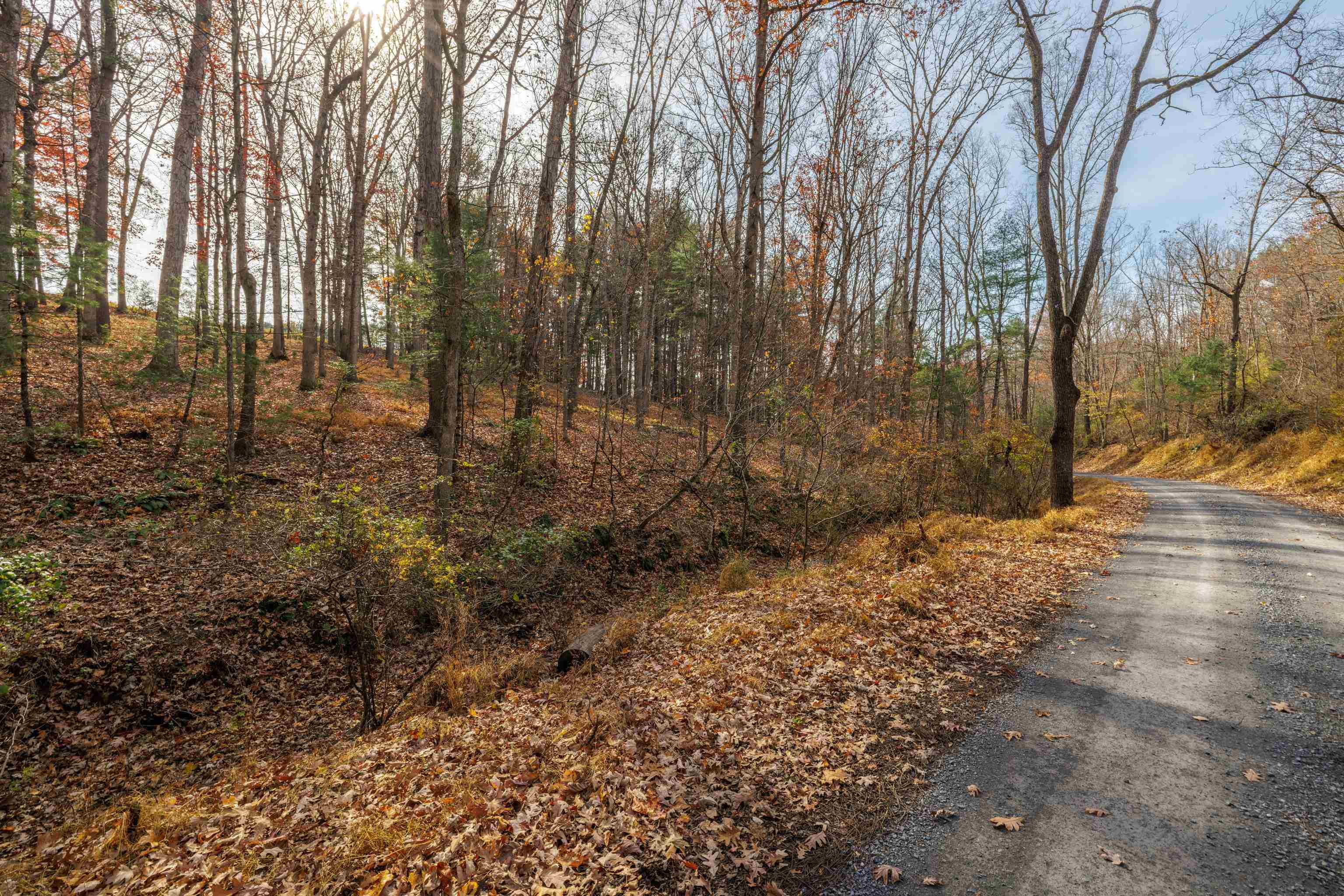TBD PLUM TREE DRAFT RD, CHURCHVILLE, Virginia 24421, ,Land,TBD PLUM TREE DRAFT RD,675109 MLS # 675109 TBD PLUM TREE DRAFT RD, CHURCHVILLE, Virginia 24421, ,Land,TBD PLUM TREE DRAFT RD,675109 MLS # 675109