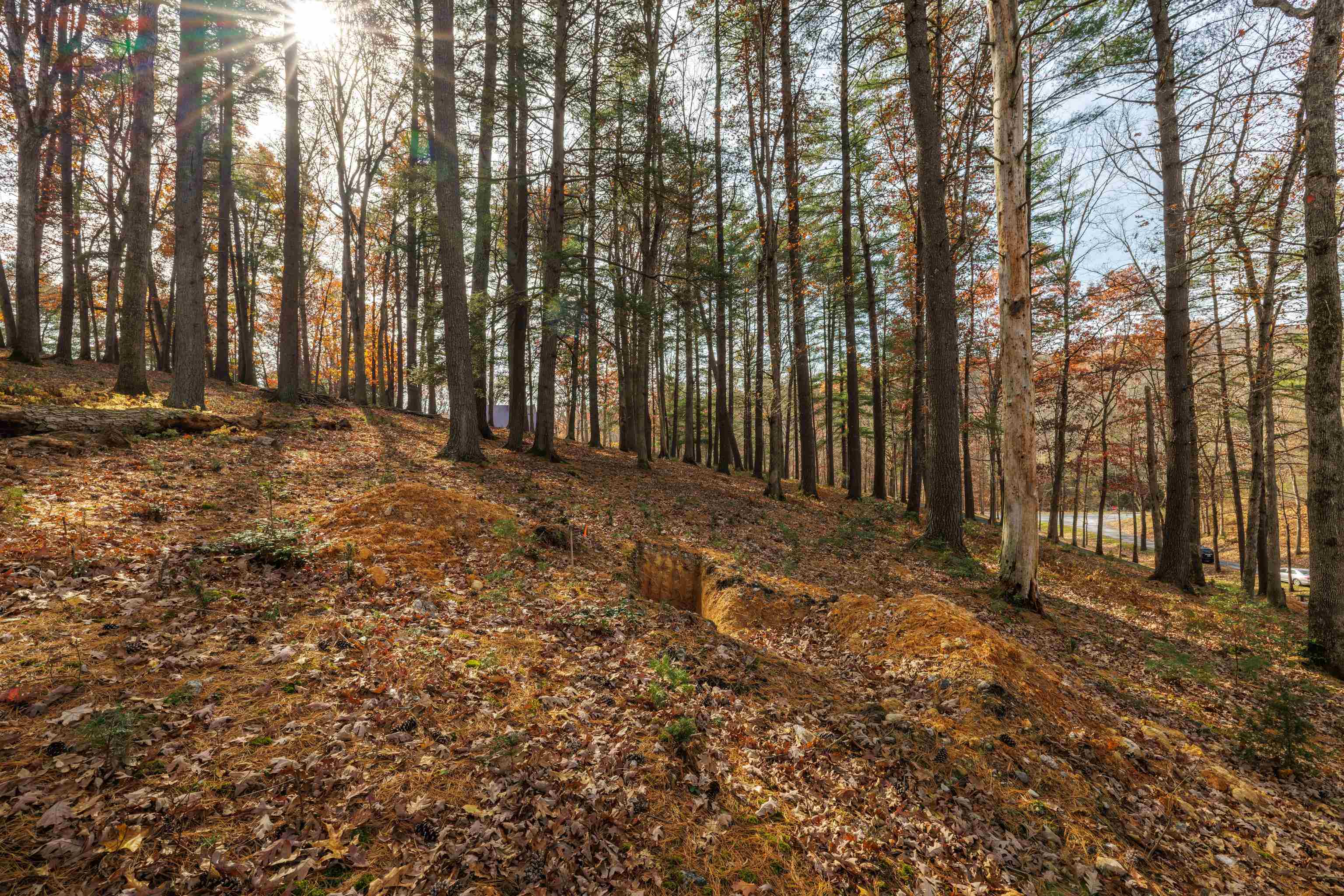 TBD PLUM TREE DRAFT RD, CHURCHVILLE, Virginia 24421, ,Land,TBD PLUM TREE DRAFT RD,675109 MLS # 675109 TBD PLUM TREE DRAFT RD, CHURCHVILLE, Virginia 24421, ,Land,TBD PLUM TREE DRAFT RD,675109 MLS # 675109