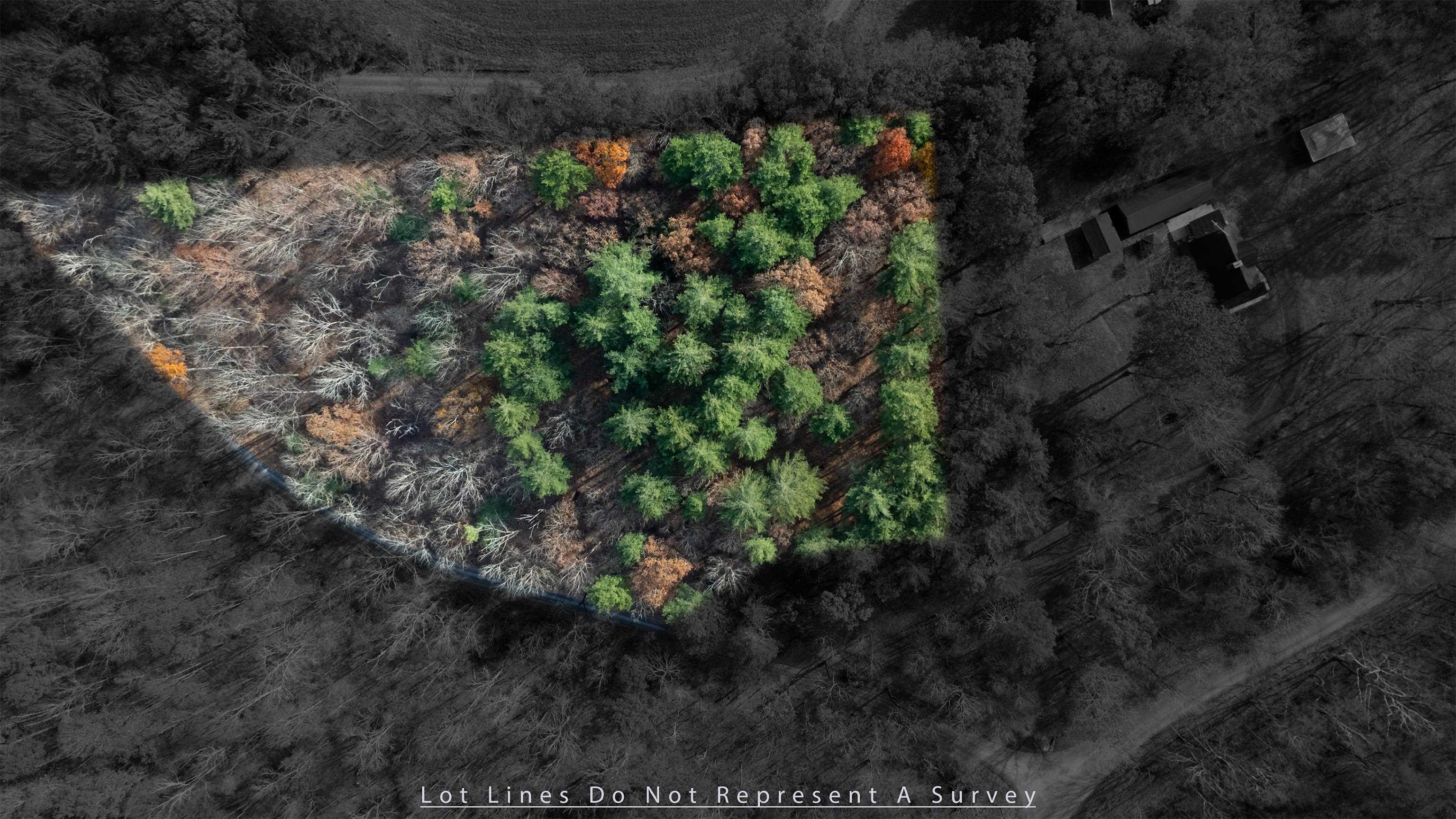 TBD PLUM TREE DRAFT RD, CHURCHVILLE, Virginia 24421, ,Land,TBD PLUM TREE DRAFT RD,675109 MLS # 675109 TBD PLUM TREE DRAFT RD, CHURCHVILLE, Virginia 24421, ,Land,TBD PLUM TREE DRAFT RD,675109 MLS # 675109