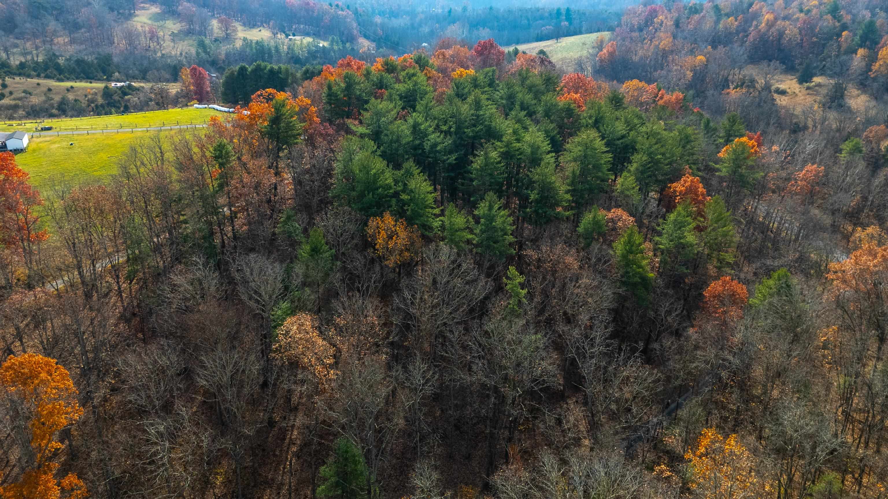 TBD PLUM TREE DRAFT RD, CHURCHVILLE, Virginia 24421, ,Land,TBD PLUM TREE DRAFT RD,675109 MLS # 675109 TBD PLUM TREE DRAFT RD, CHURCHVILLE, Virginia 24421, ,Land,TBD PLUM TREE DRAFT RD,675109 MLS # 675109