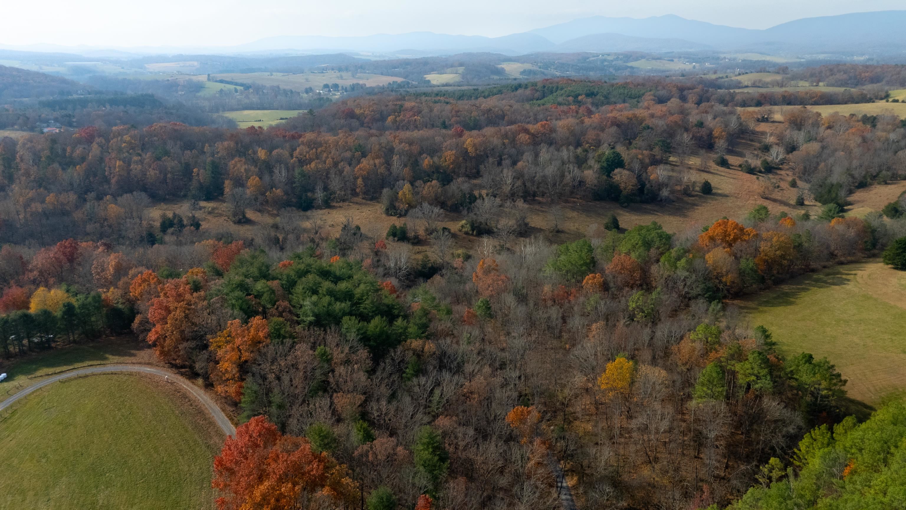 TBD PLUM TREE DRAFT RD, CHURCHVILLE, Virginia 24421, ,Land,TBD PLUM TREE DRAFT RD,675109 MLS # 675109 TBD PLUM TREE DRAFT RD, CHURCHVILLE, Virginia 24421, ,Land,TBD PLUM TREE DRAFT RD,675109 MLS # 675109