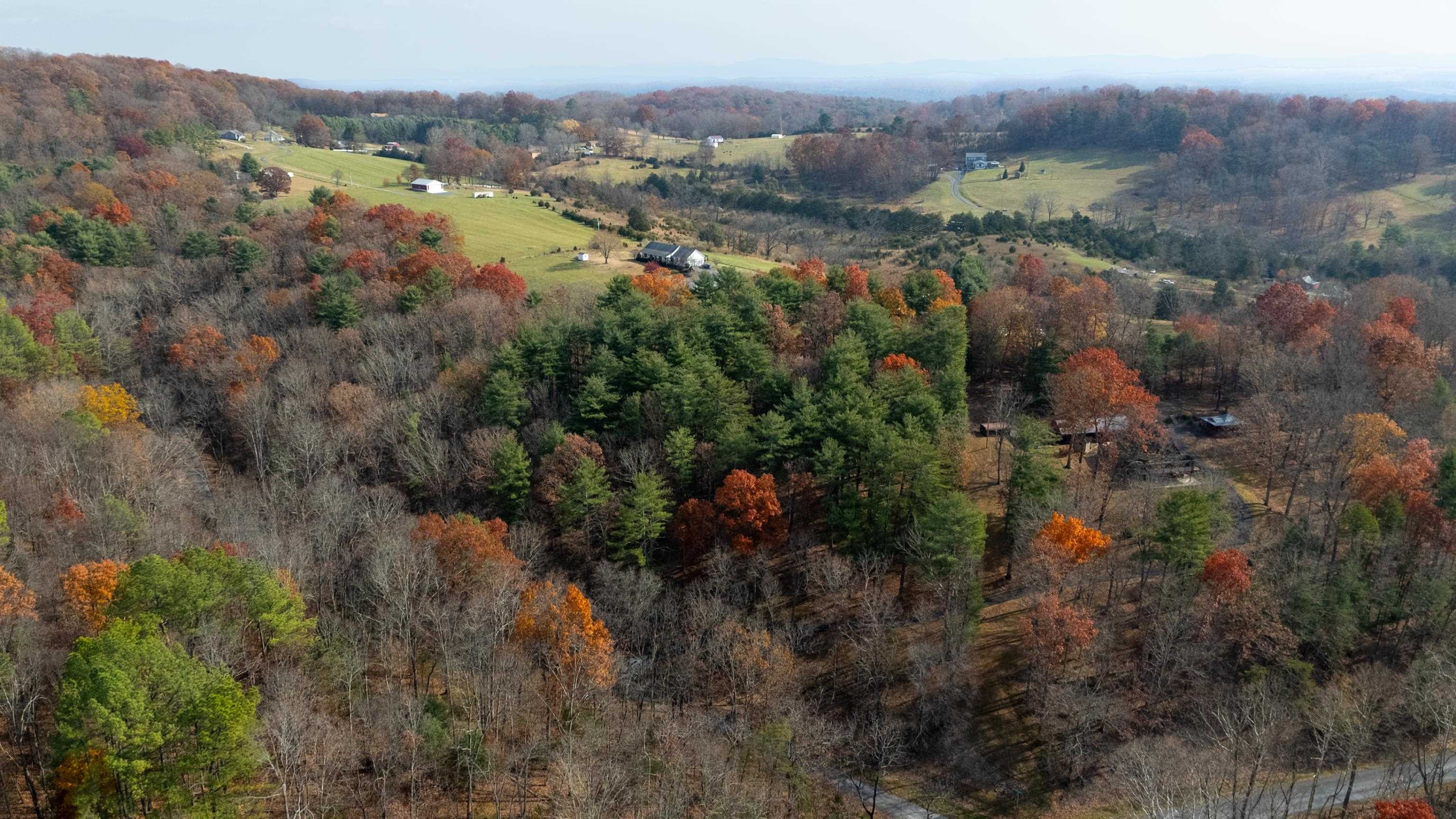 TBD PLUM TREE DRAFT RD, CHURCHVILLE, Virginia 24421, ,Land,TBD PLUM TREE DRAFT RD,675109 MLS # 675109 TBD PLUM TREE DRAFT RD, CHURCHVILLE, Virginia 24421, ,Land,TBD PLUM TREE DRAFT RD,675109 MLS # 675109