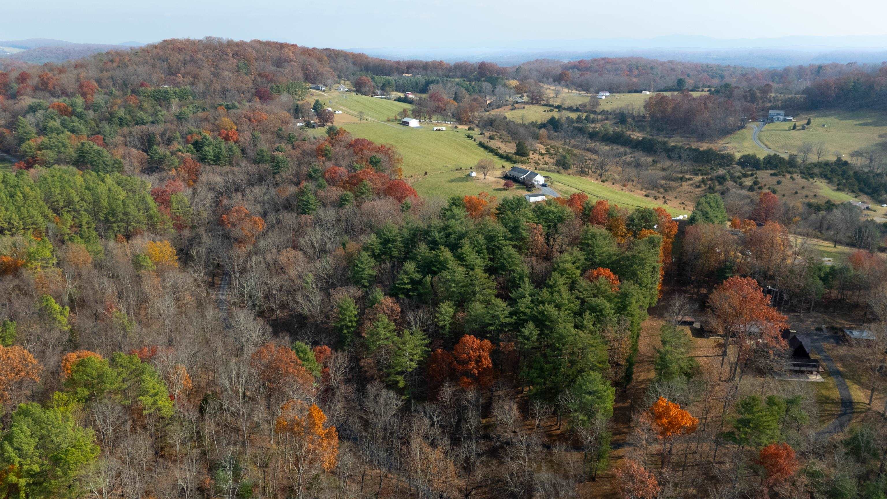 TBD PLUM TREE DRAFT RD, CHURCHVILLE, Virginia 24421, ,Land,TBD PLUM TREE DRAFT RD,675109 MLS # 675109 TBD PLUM TREE DRAFT RD, CHURCHVILLE, Virginia 24421, ,Land,TBD PLUM TREE DRAFT RD,675109 MLS # 675109